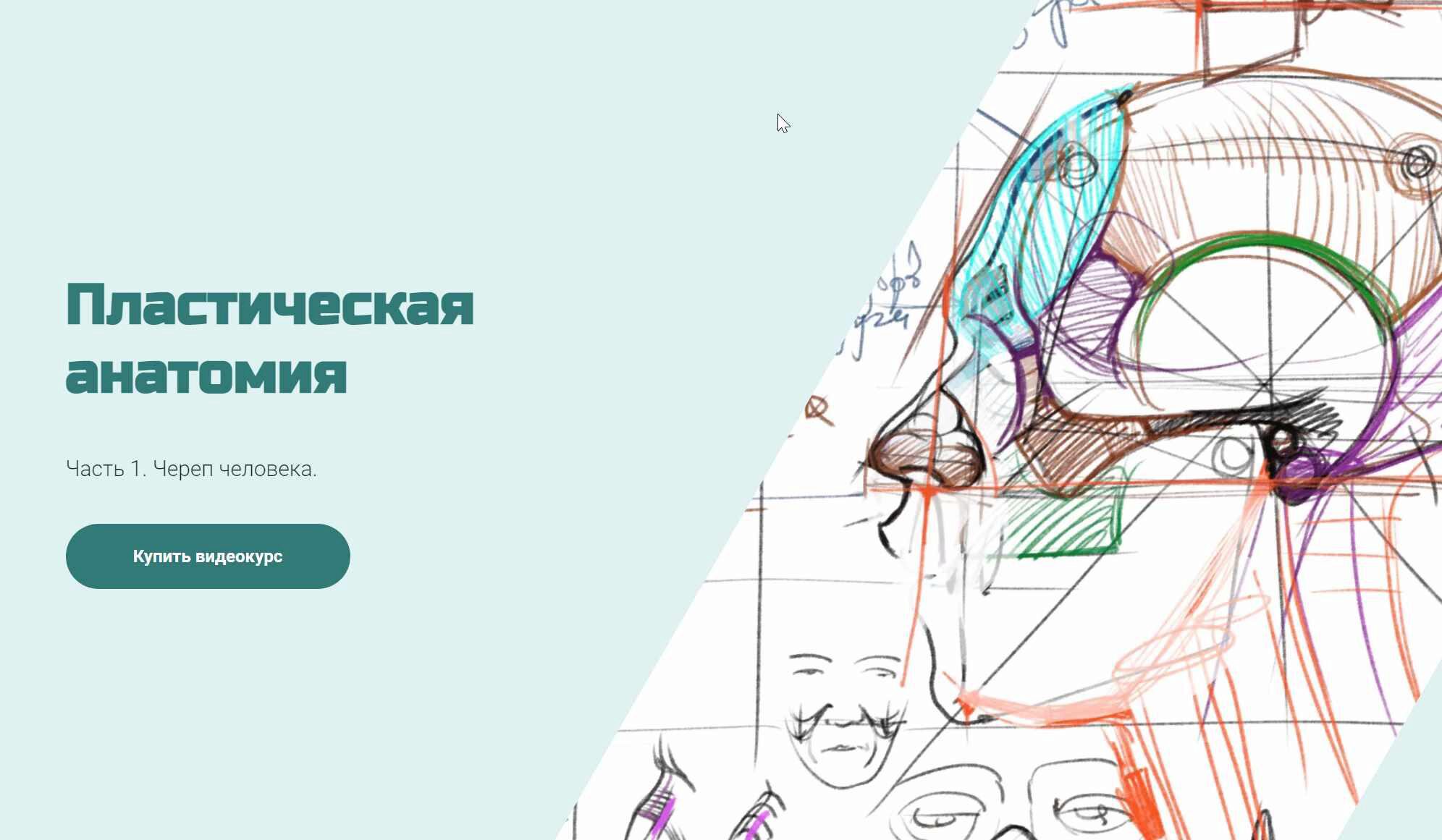 Череп человека (Александр Рыжкин)