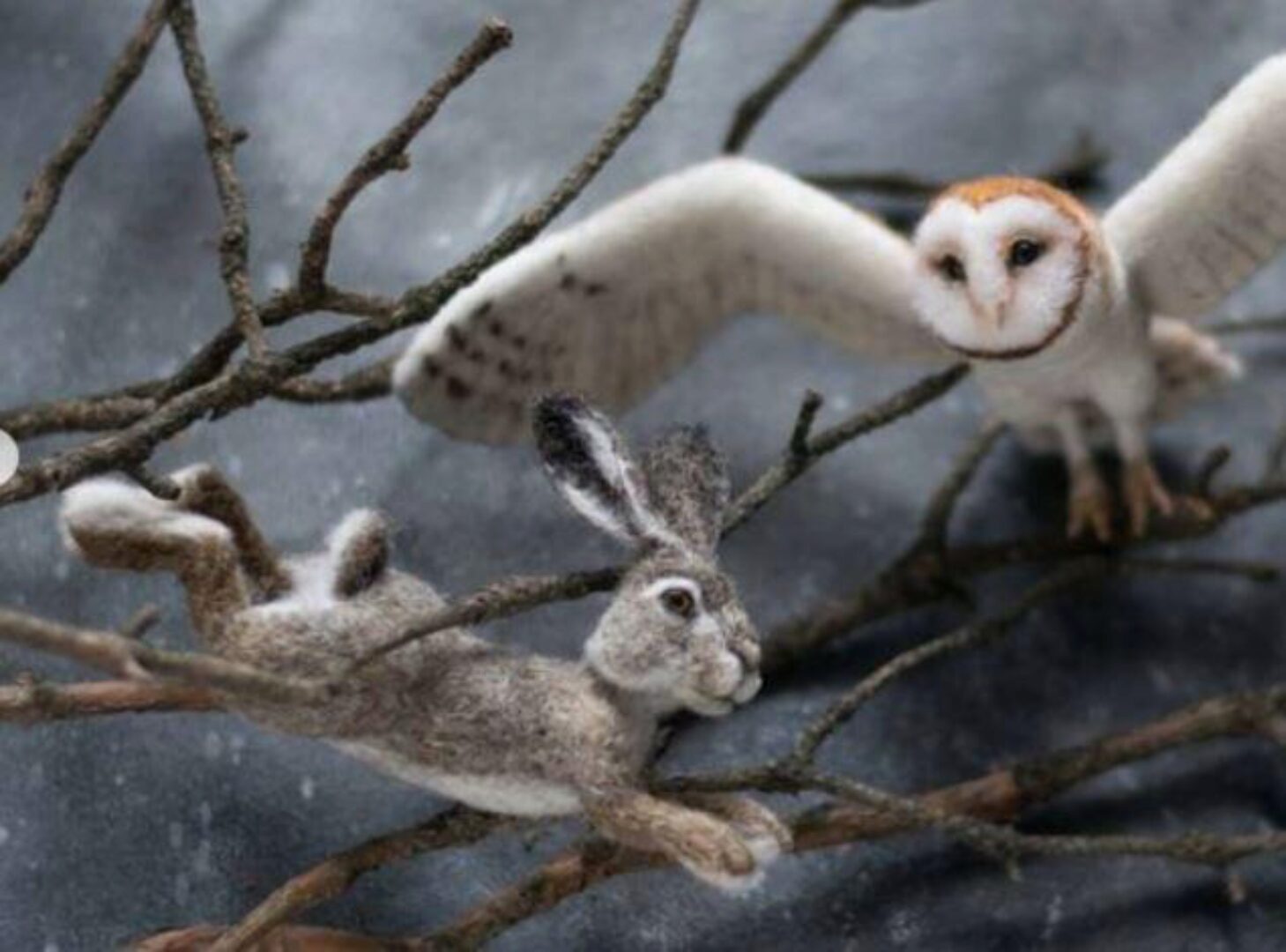 Живая шерсть (Ася Синявская)