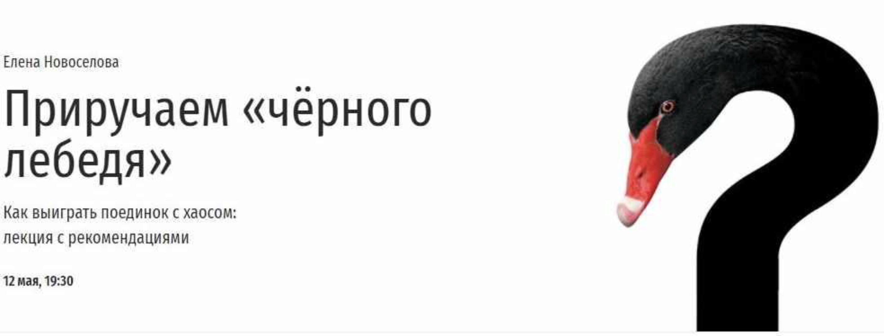 [Прямая речь] Приручаем «чёрного лебедя» (Елена Новоселова)