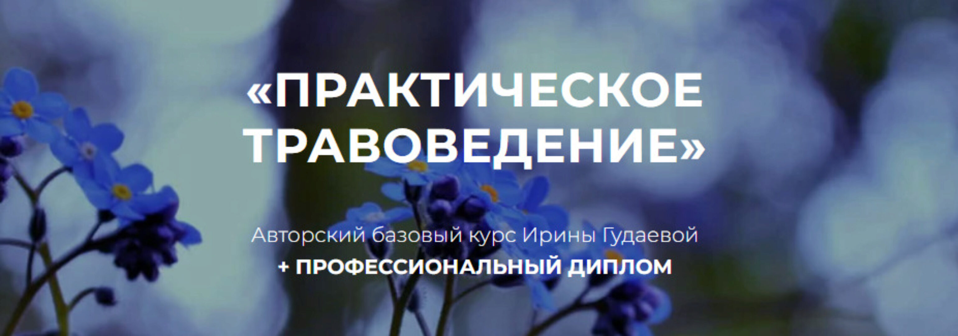 [festtrav.ru] Практическое травоведение (Ирина Гудаева)