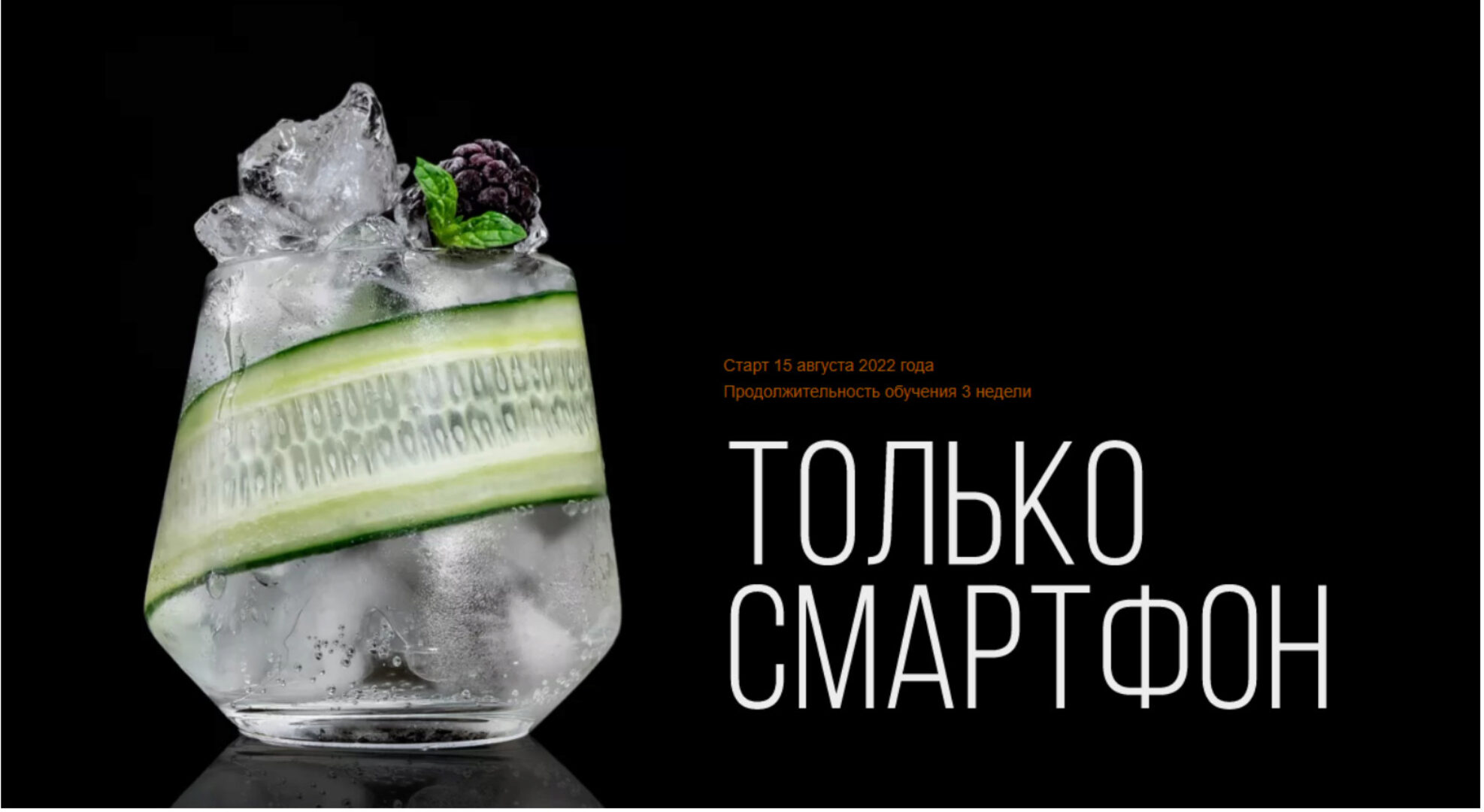 Только Смартфон. Тариф Стандарт (Анастасия Максимова)