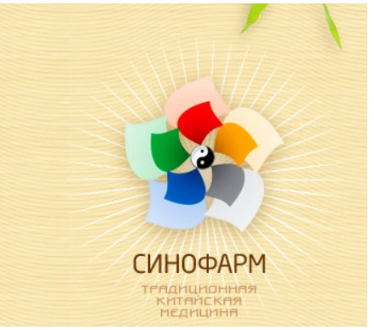 Лечение ожирения методами традиционной китайской медицины. Семинар №1 (Сергей Зайцев)