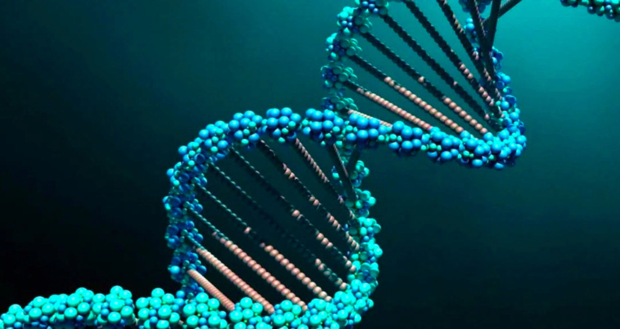 Высоковибрационный интенсив: СОтворение тела (Екатерина Гарцева)