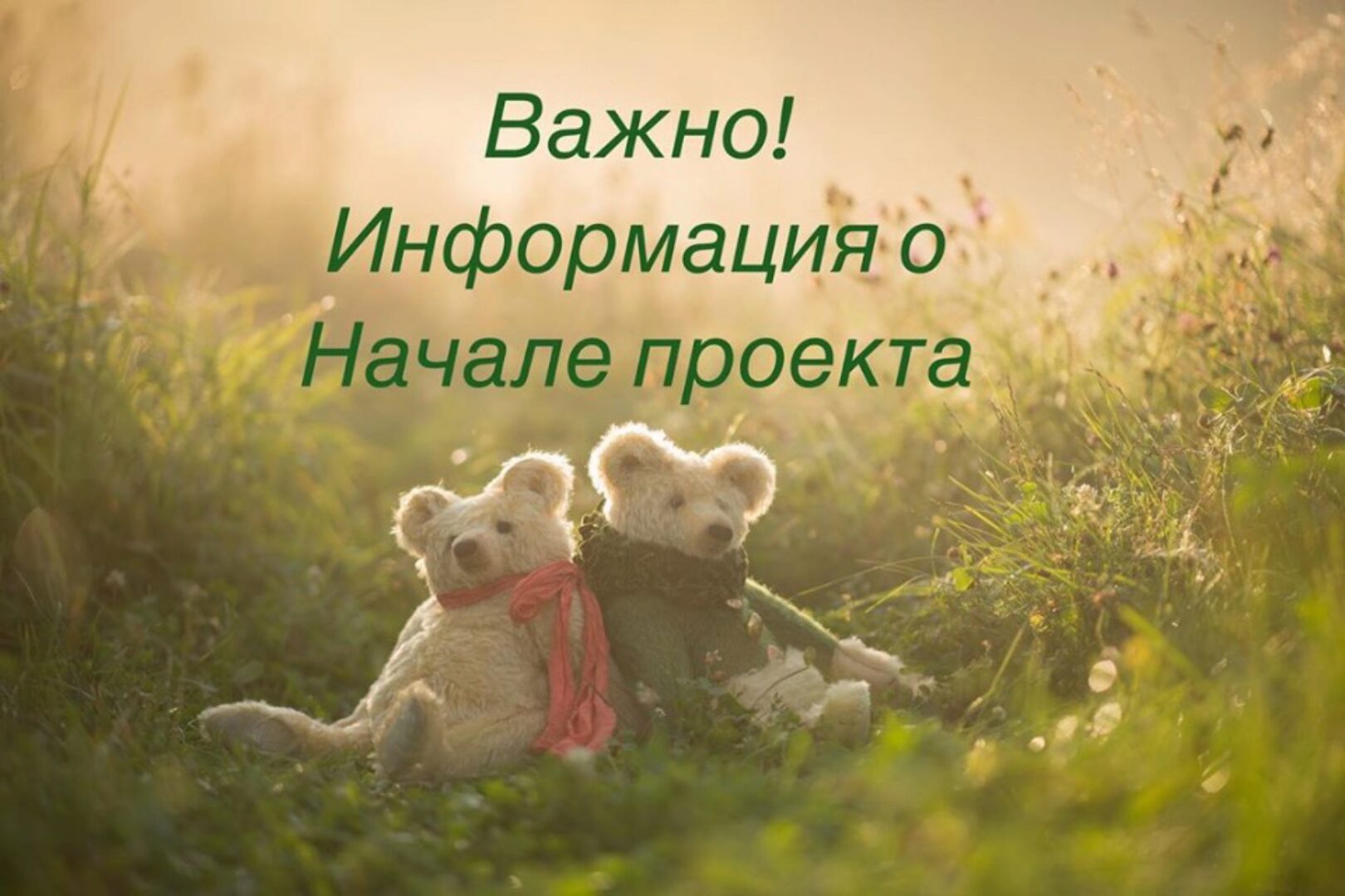 Большой медведь (Ольга Иванело)