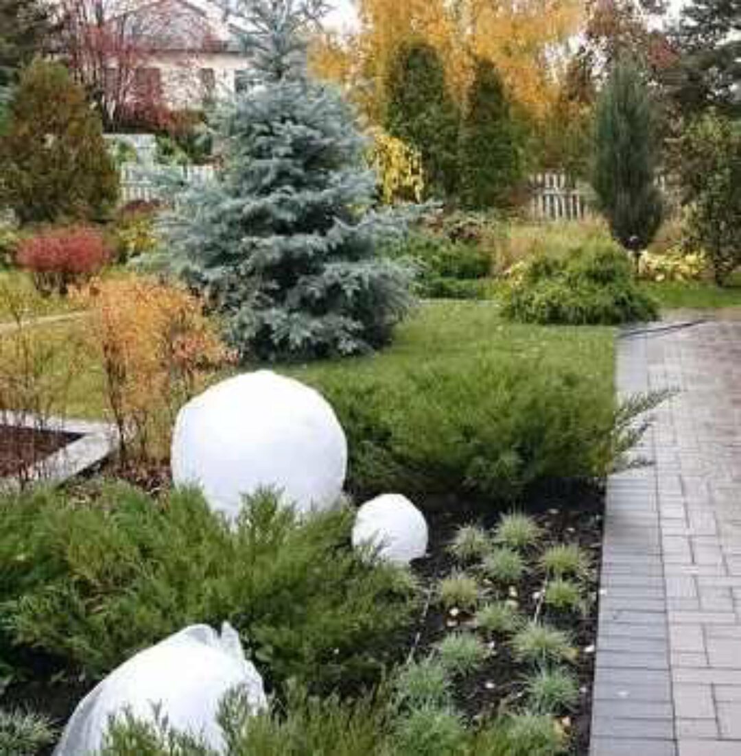 Оптимальная планировка сада (Оксана Хлебородова)