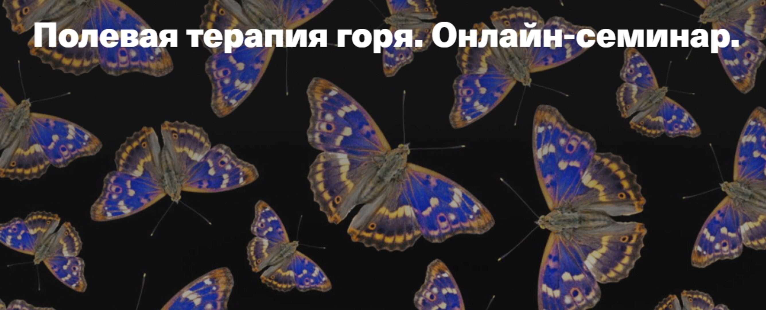 [Центр Современных системных расстановок] Полевая терапия горя (Елена Веселаго)