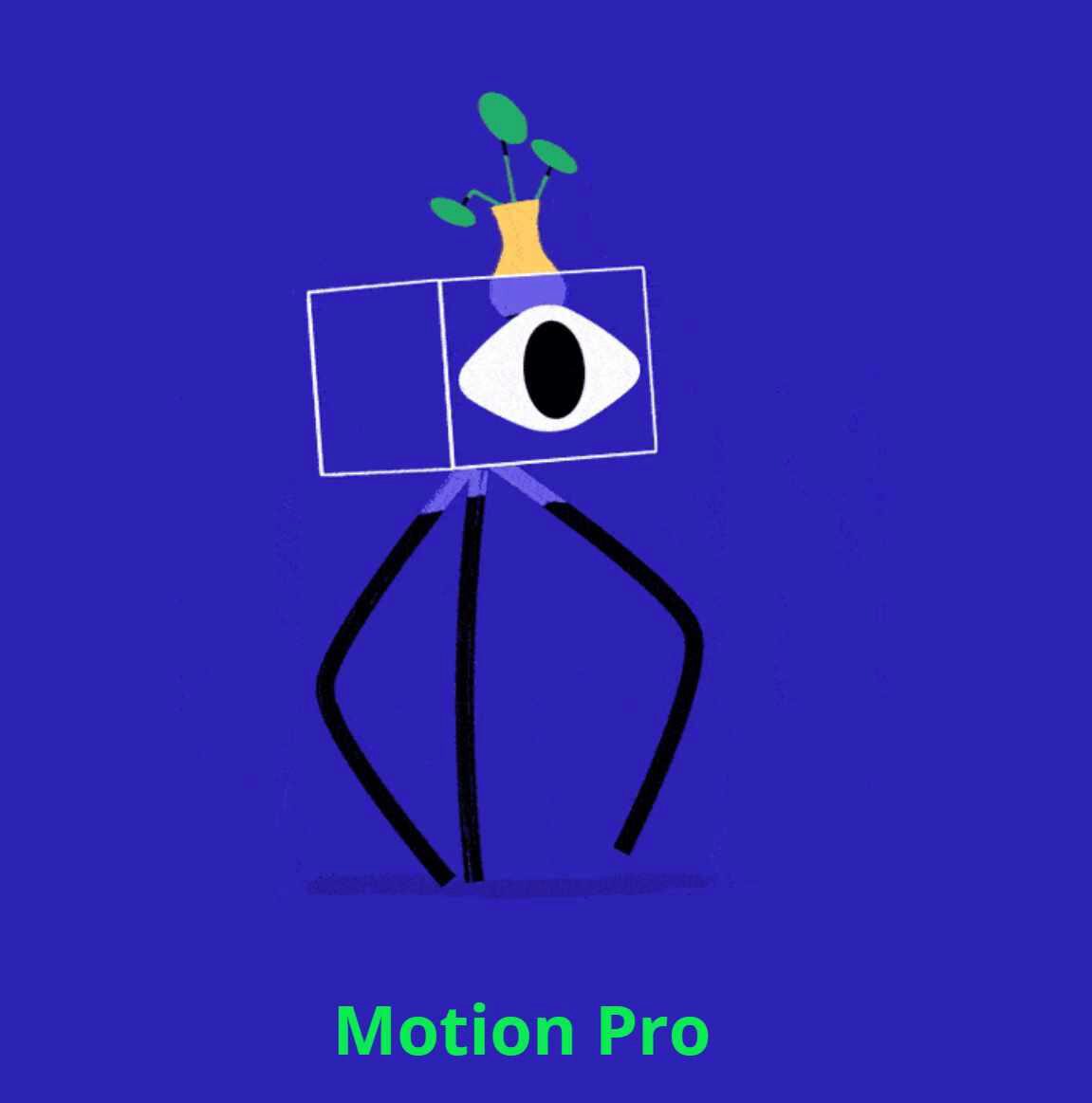 [Motion Design School] Motion Pro