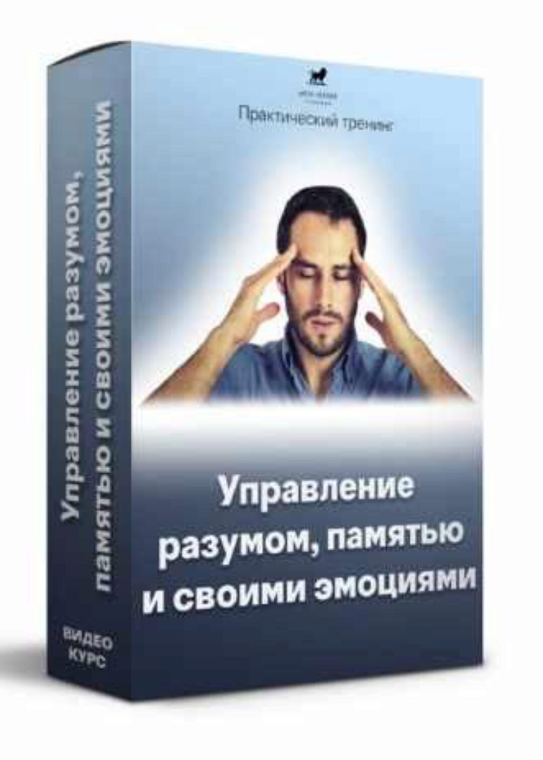 [Meta Leader] Управление разумом, памятью и своими эмоциями (Кирилл Прищенко)