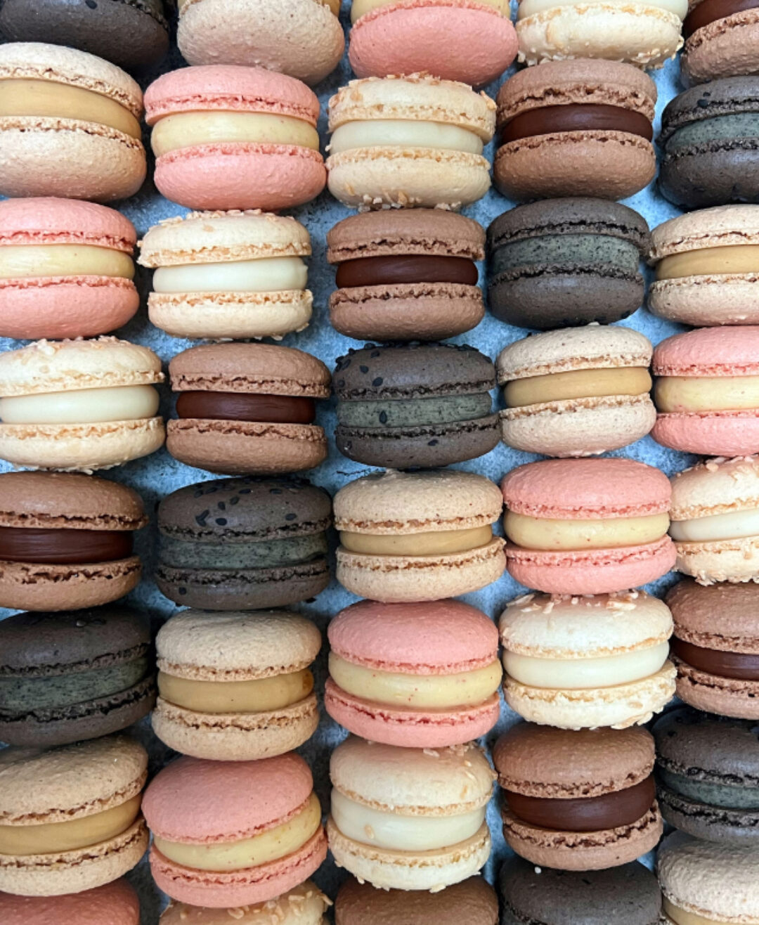 Новогодние вкусы макарон 2024 (Анна Томильчик)