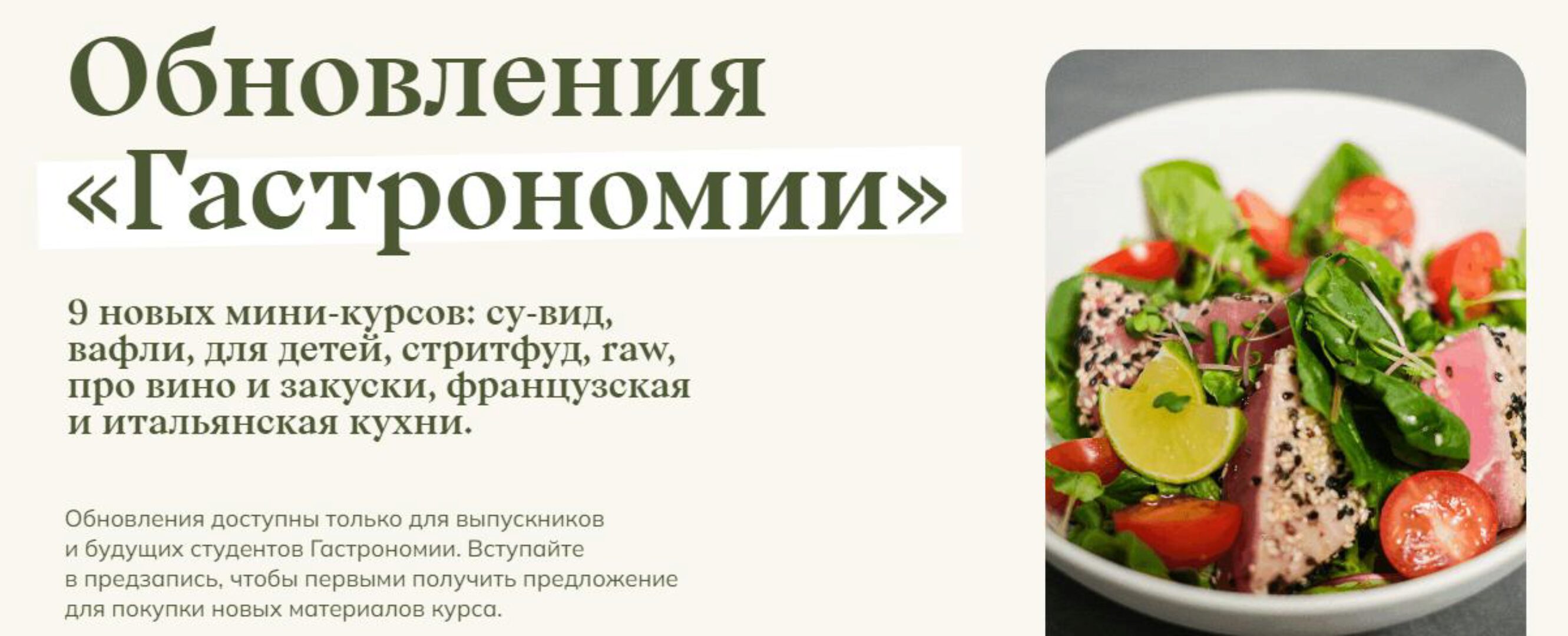 [Welldone] Обновления Гастрономии. Все 9 новинок в одном. Пакет №3 (Маша Шелушенко)