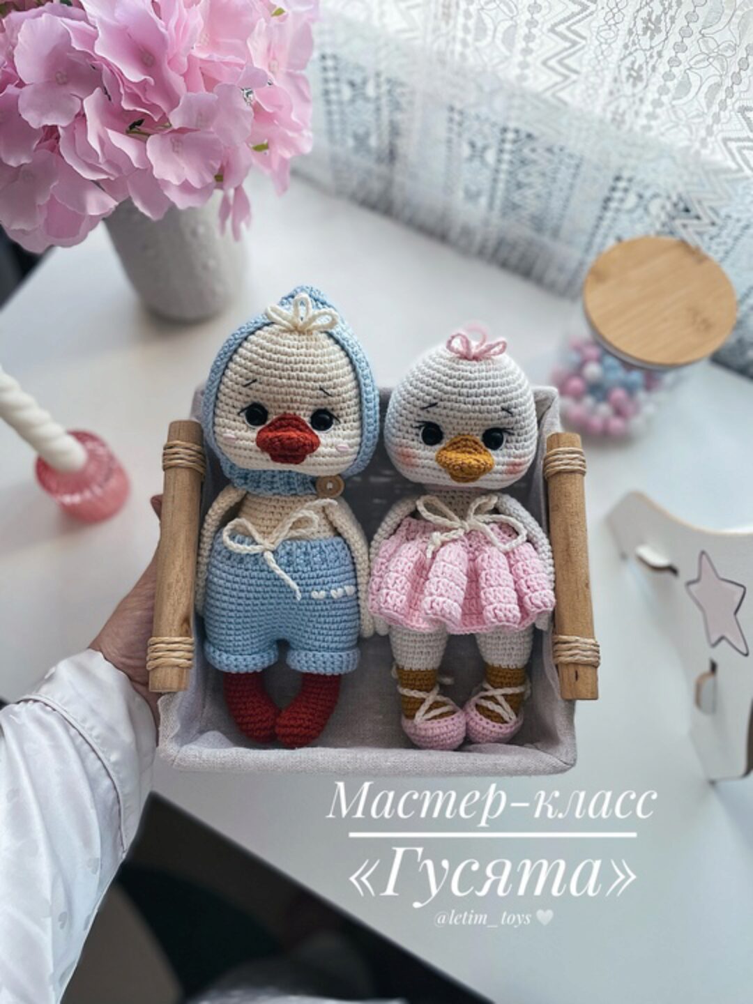 Гусята (Леся Коновалова)