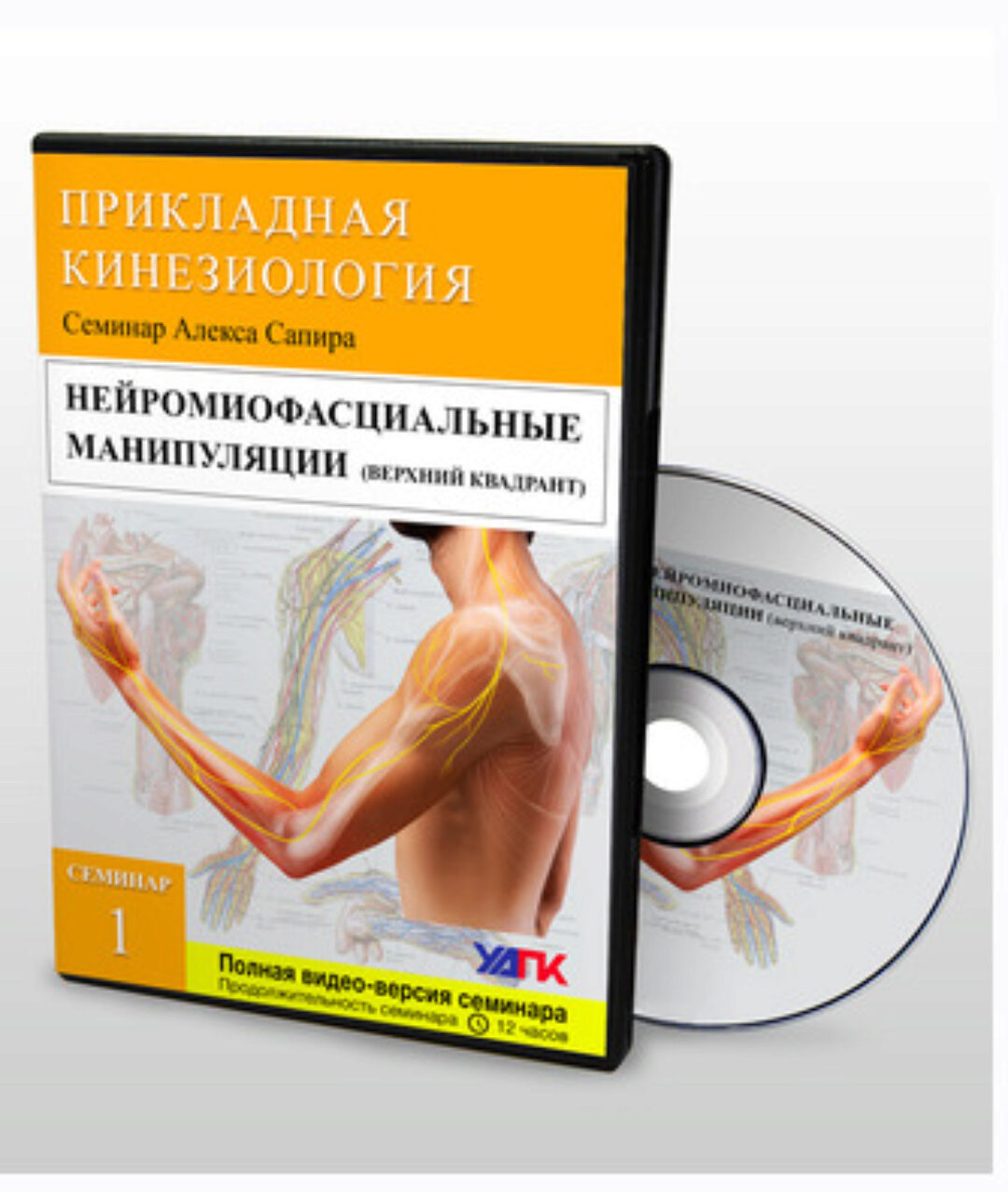 Мануальная терапия нервной ткани. Семинар №1. Верхний квадрант (Алекс Сапир)