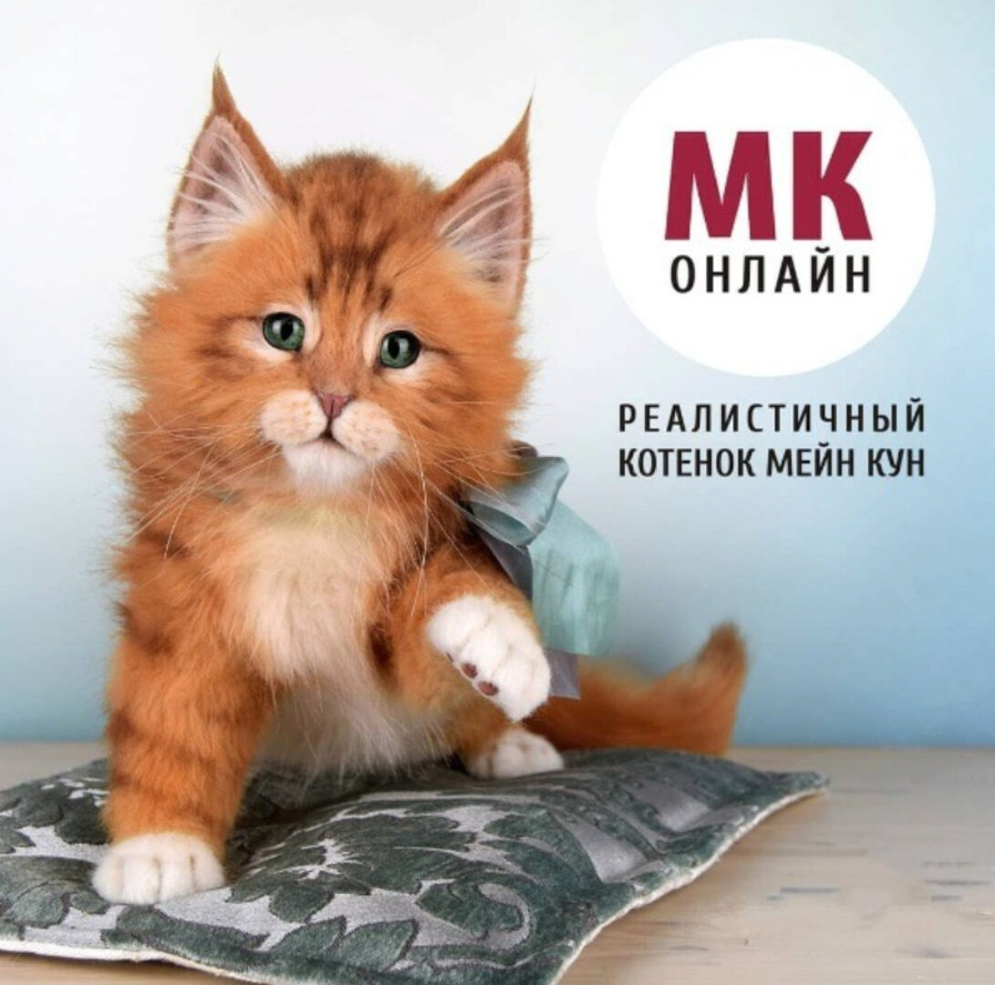Реалистичный котенок Мейн кун (Анастасия Масловская)