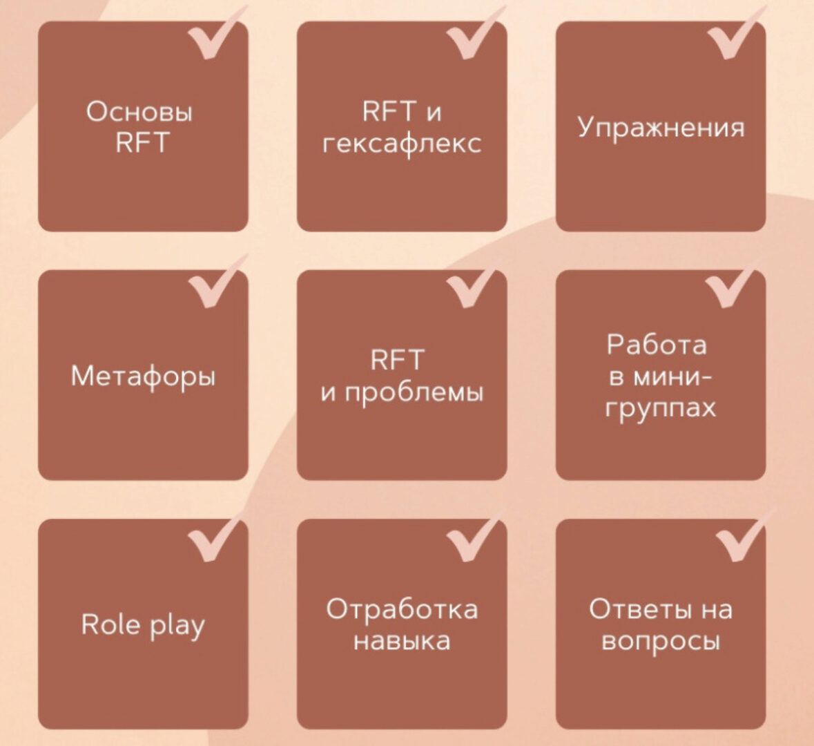 Теория Реляционных Фреймов (RFT) в клинической практике (Илья Розов, Илья Скворцов)