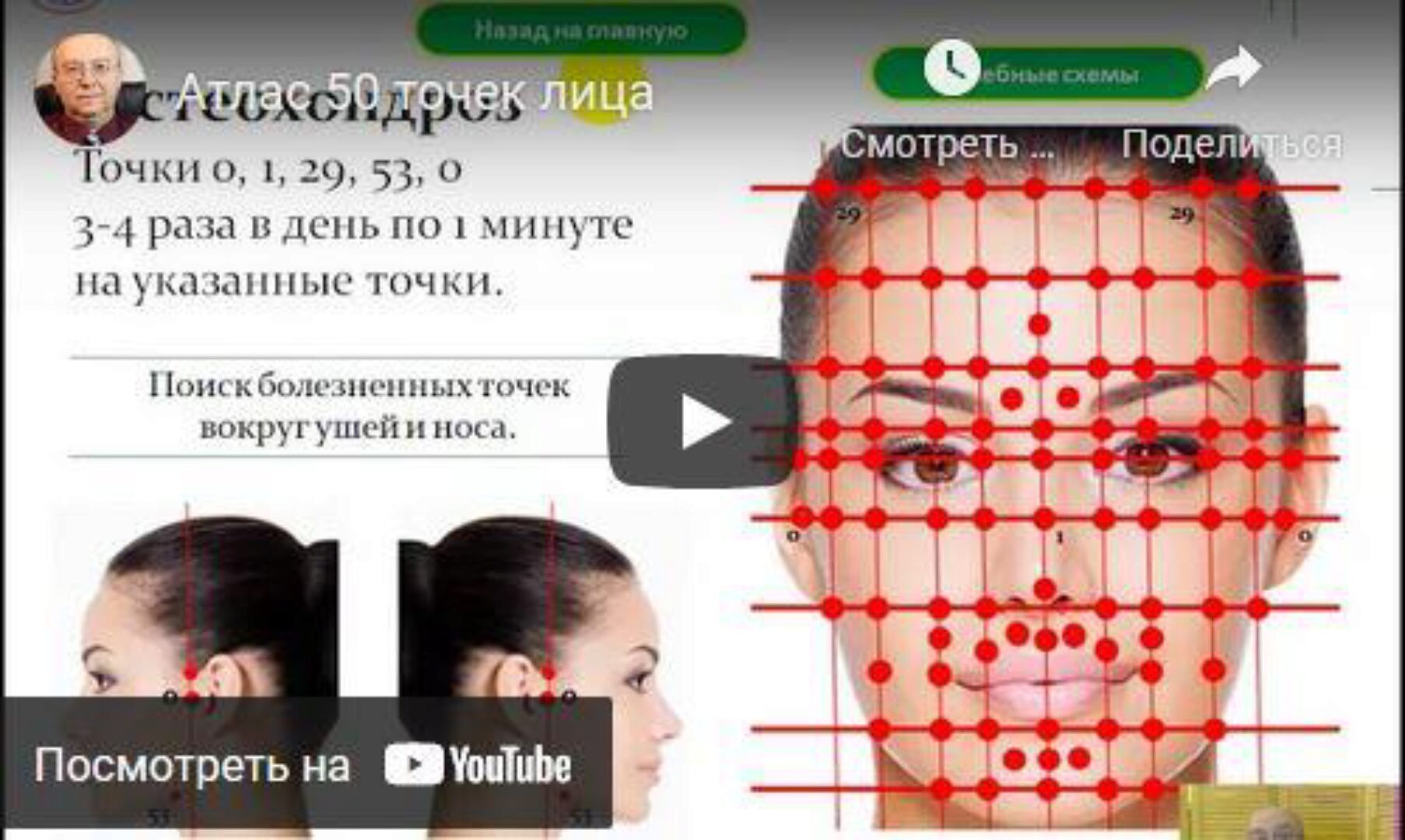 Атлас 50 точек Лица (Владимир Заворотный)