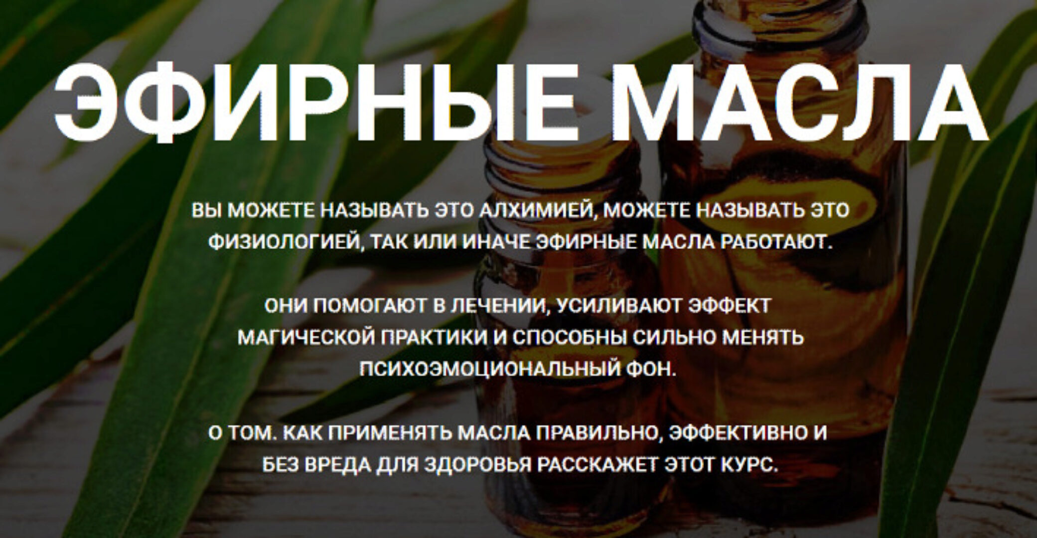 [Касталия] Эфирные масла (Пан Тадеуш Фенрир)