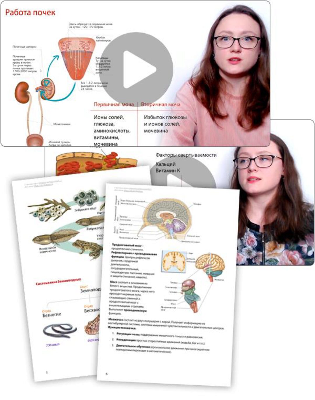 [stepenin.ru] ЕГЭ Биология-2022 (Маргарита Журавкова, Ирина Коновалова)