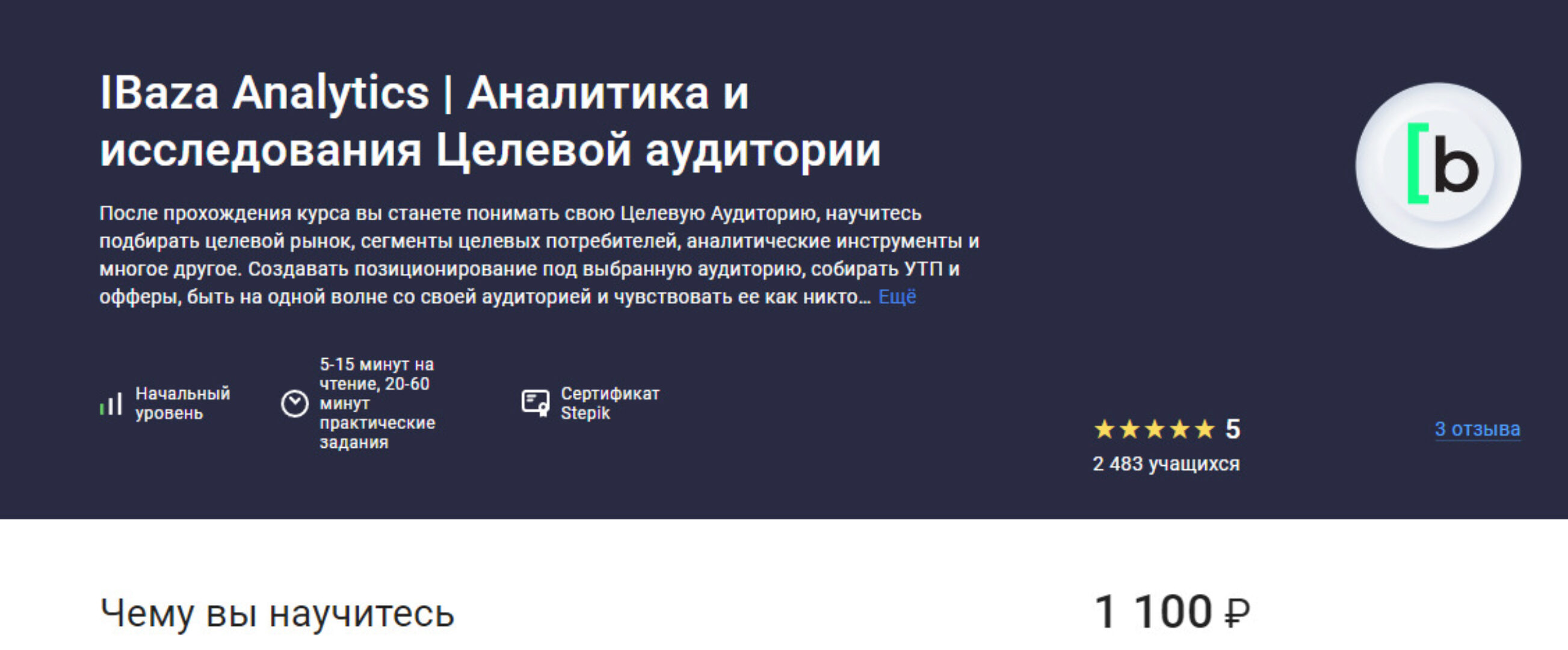 [IBaza Analytics] Аналитика и исследования Целевой аудитории (Stepik)