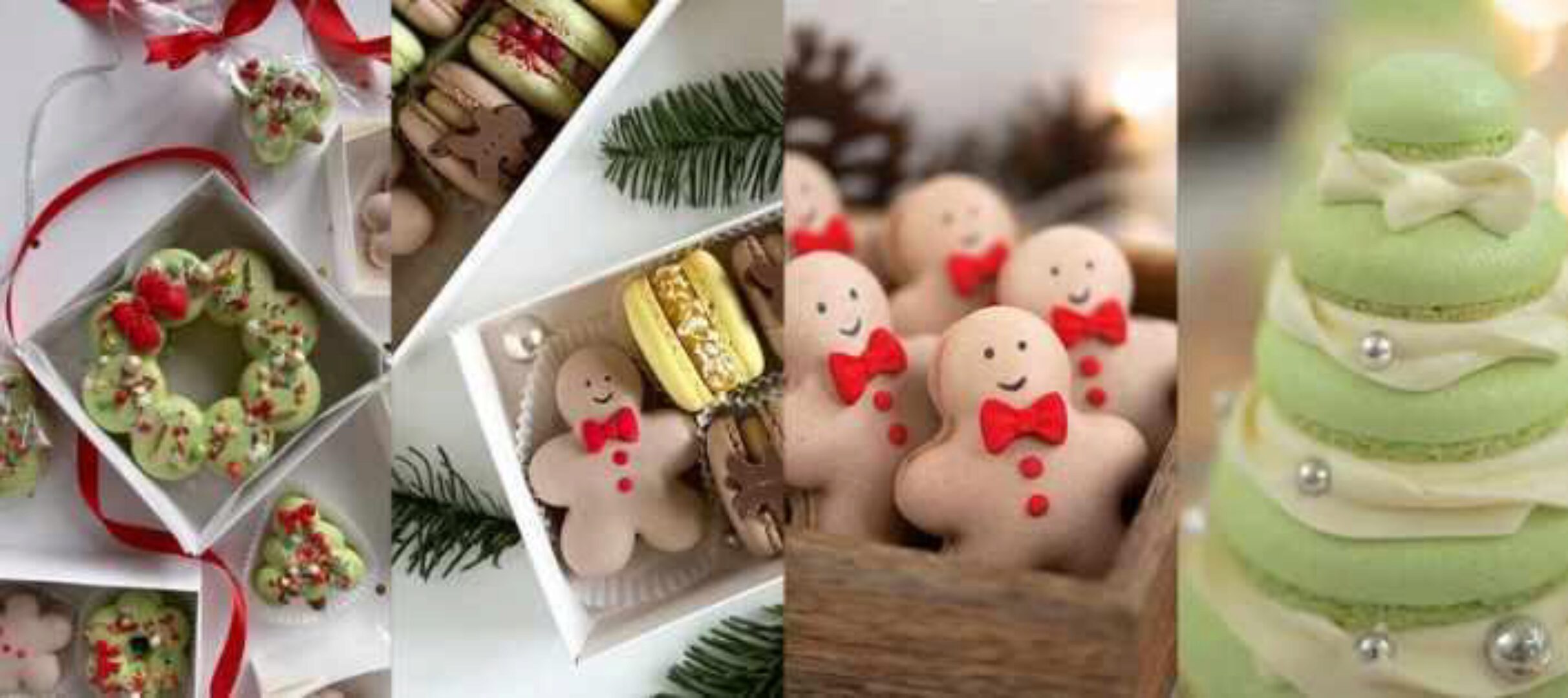 [shunichka] Обучение по отсадке новогодних фигурных макарон и начинка макарон Розмарин-Брусника 2024 (Александра Сенина)