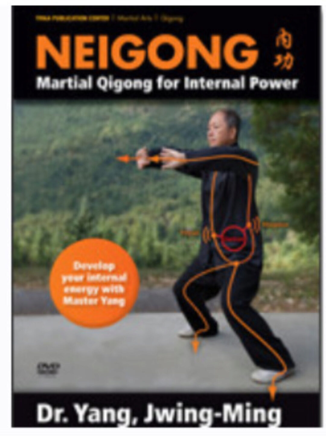 Нейгун. Полный курс (Ян Дзюн Мин)