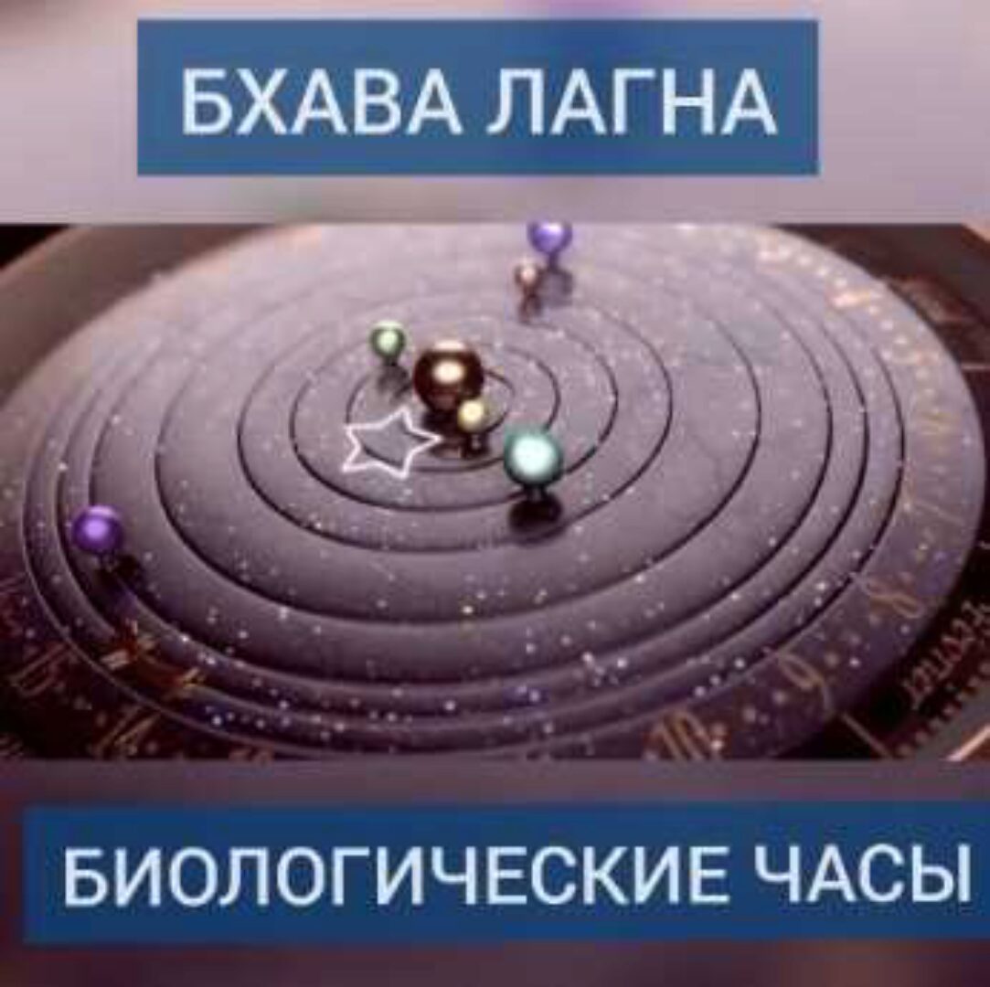 Бхава лагна и биологические часы (Андрей Ларионов)