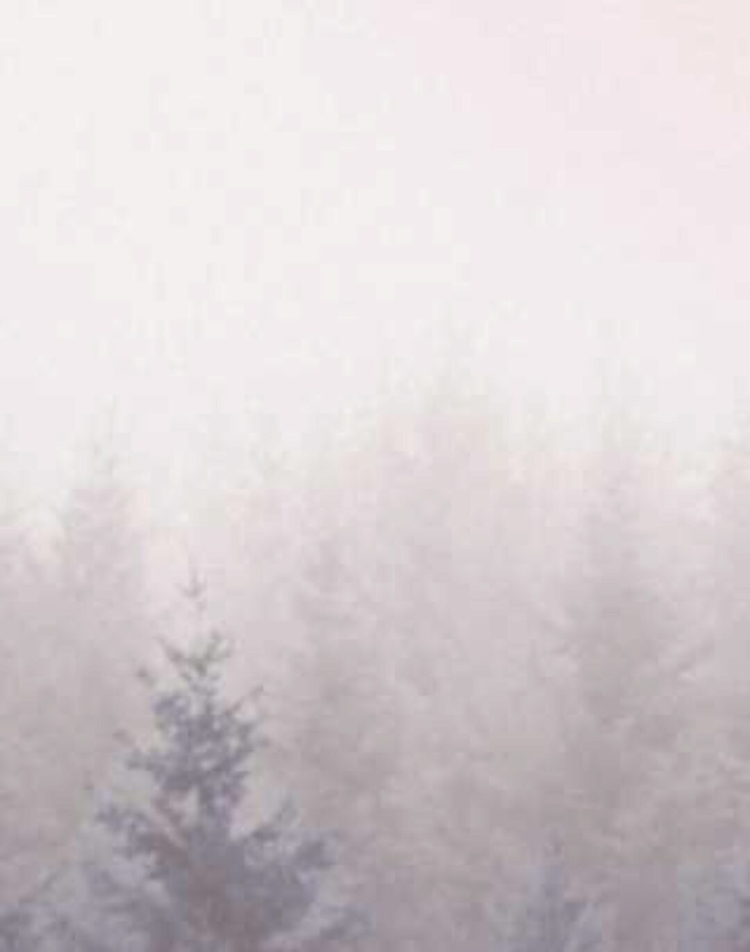 Остеопатия МФР