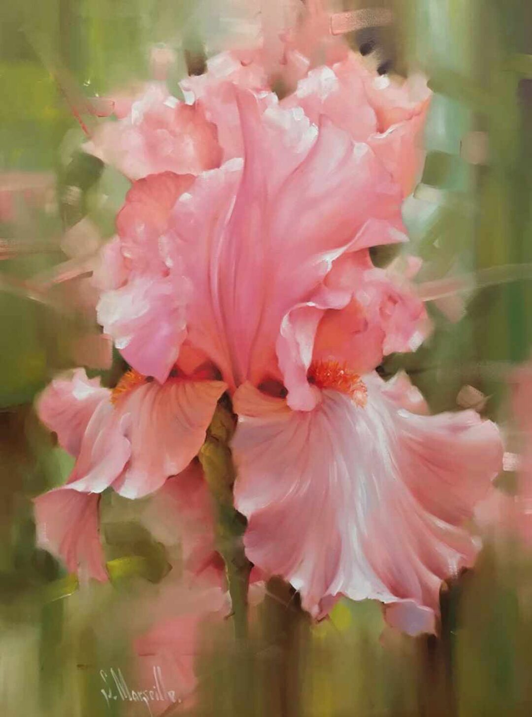 Розовый Ирис (Марсель Сингатуллин)
