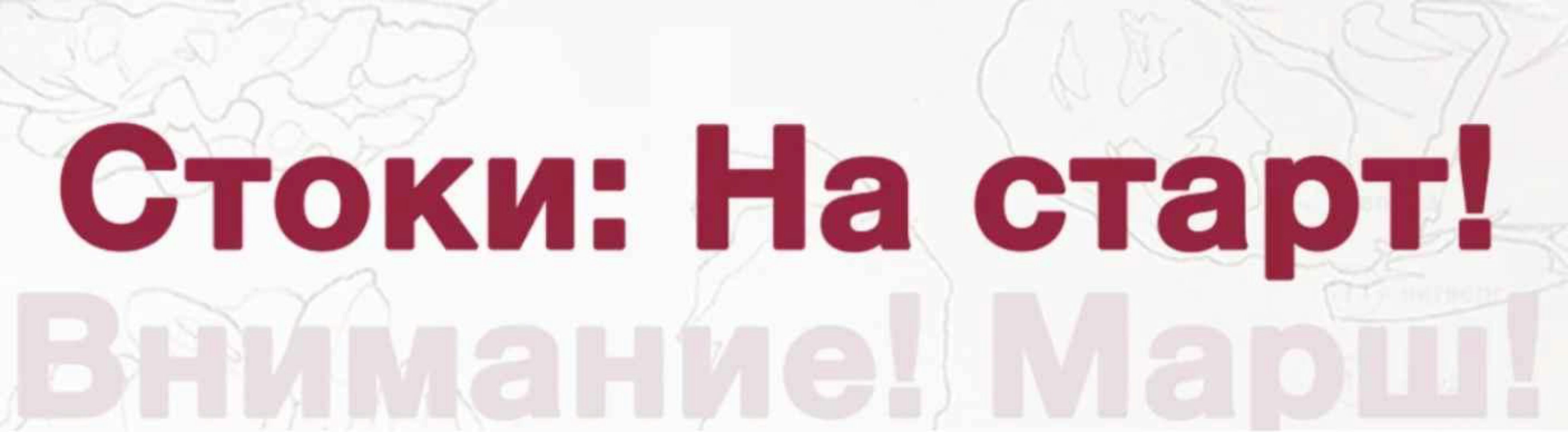 Стоки на старт. Тариф Самостоятельный (Анна Асетрова)