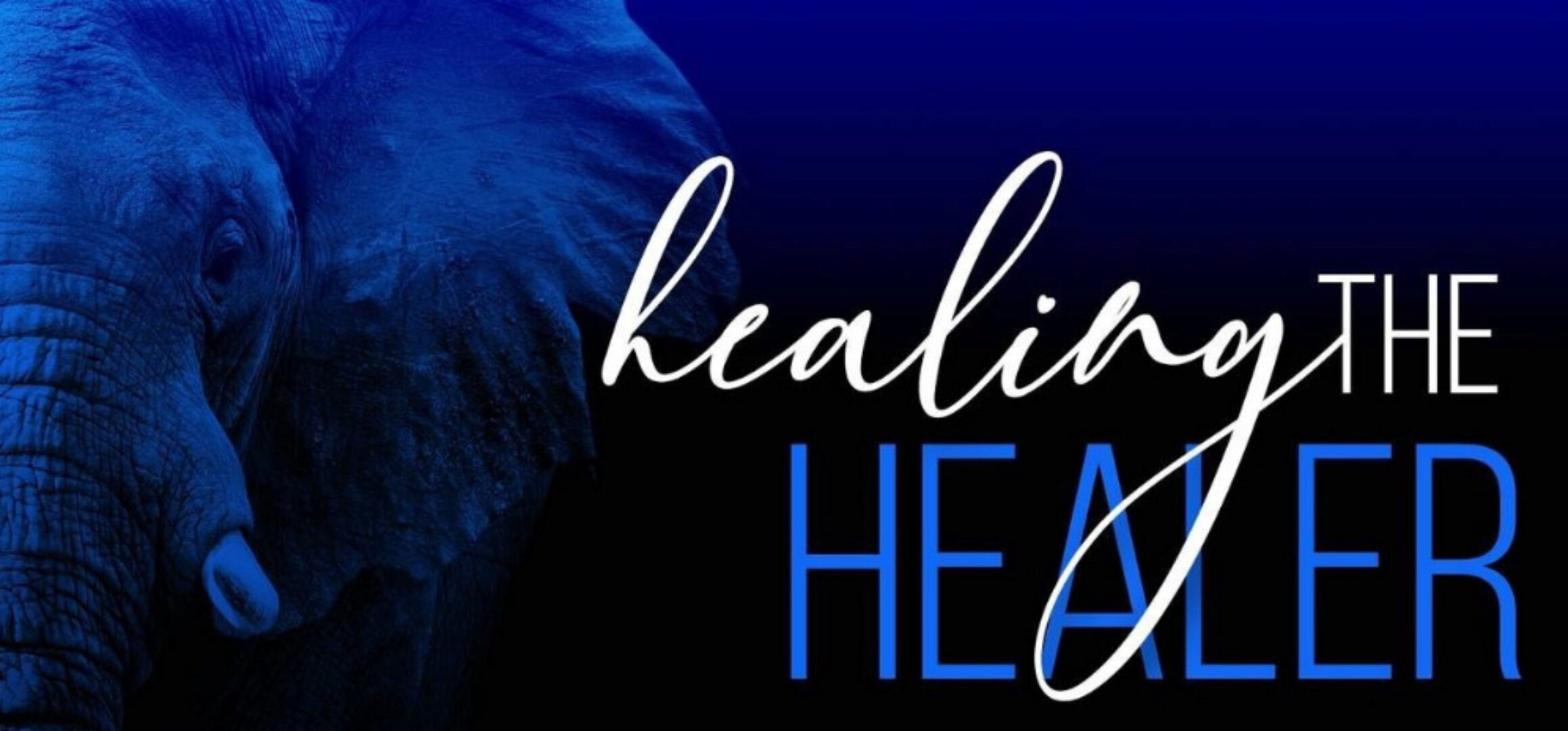 Ты справишься! - Исцелить целителя, 2023 (Дейн Хир)