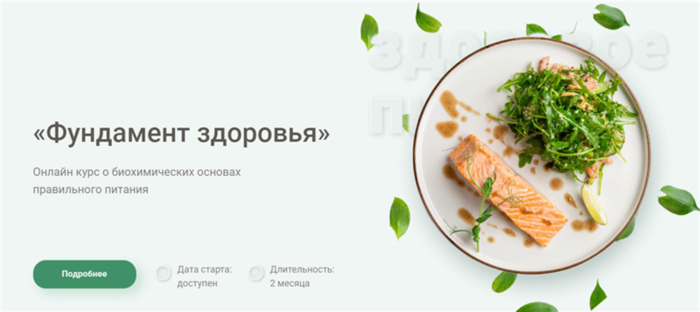 Фундамент здоровья. Тариф - Эконом (Ирина Потянова)