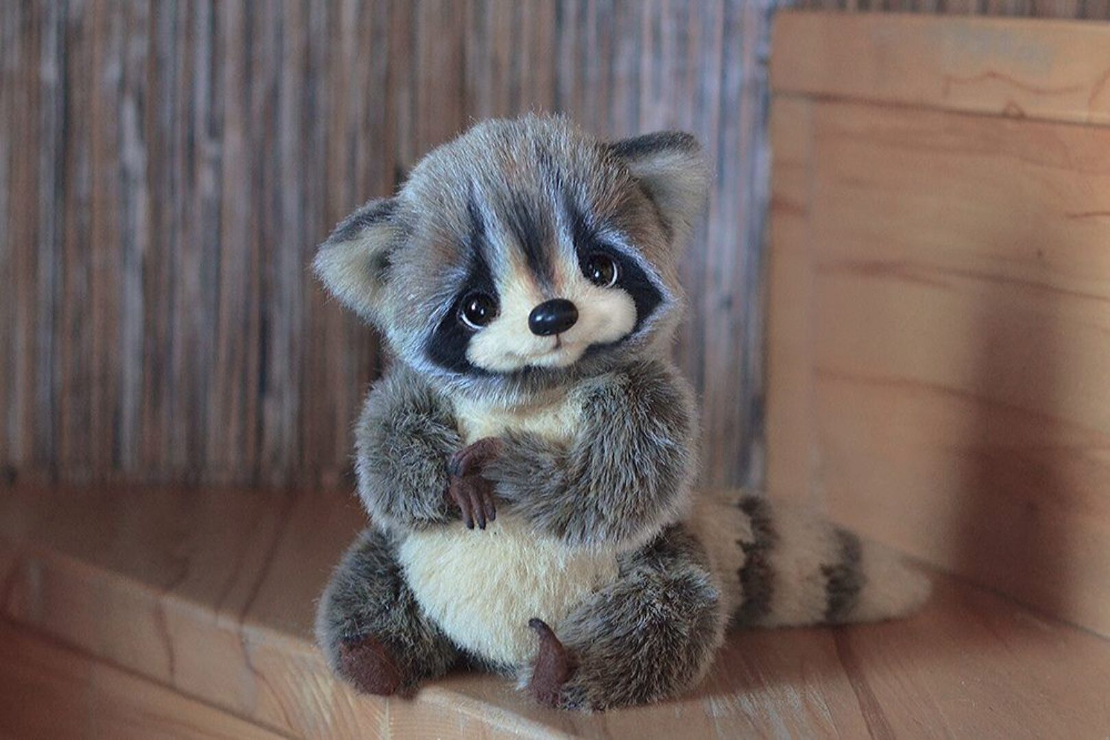 Енот (Катя Беспалова)