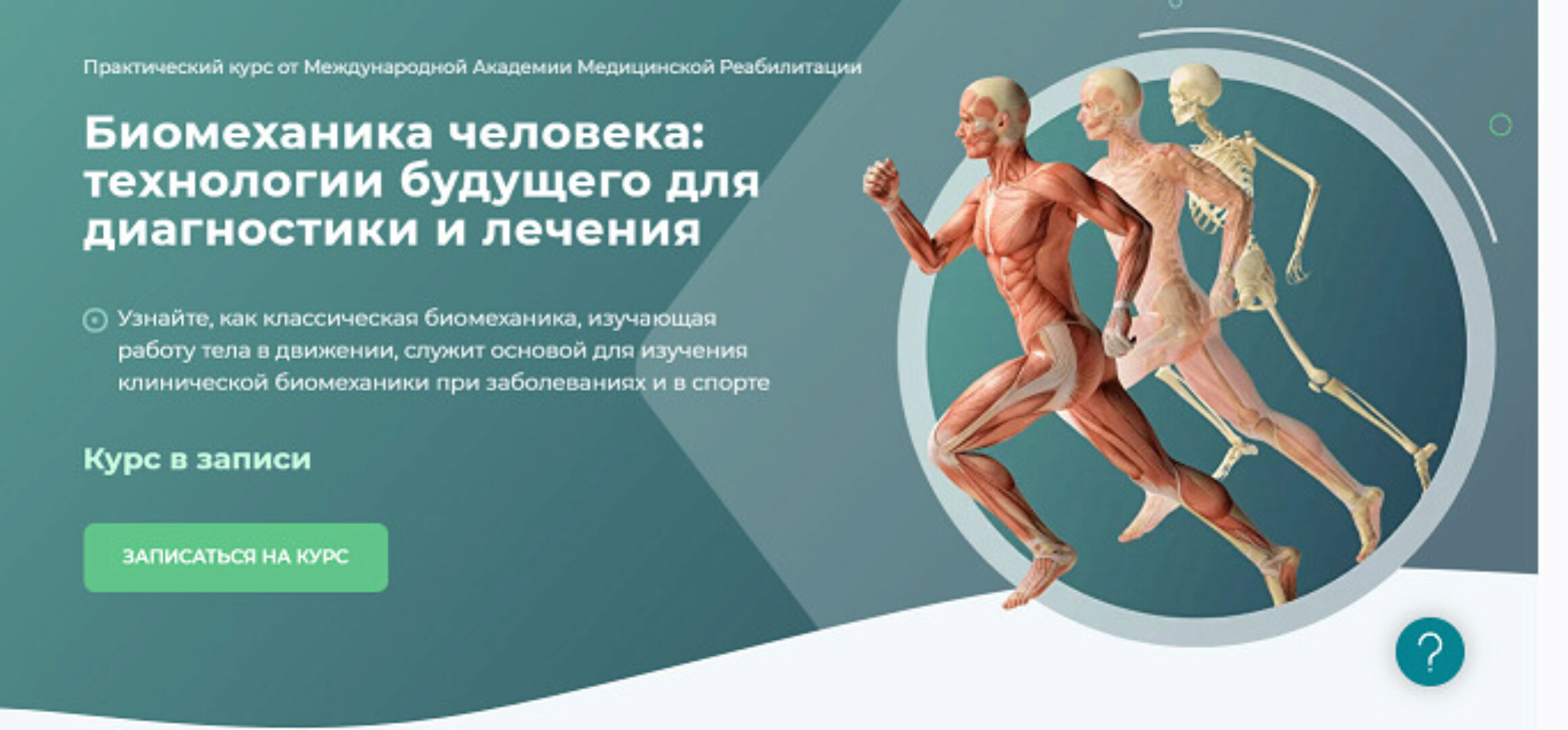 Биомеханика человека: технологии будущего для диагностики и лечения. Модуль 3 (Алина Войцеховска)