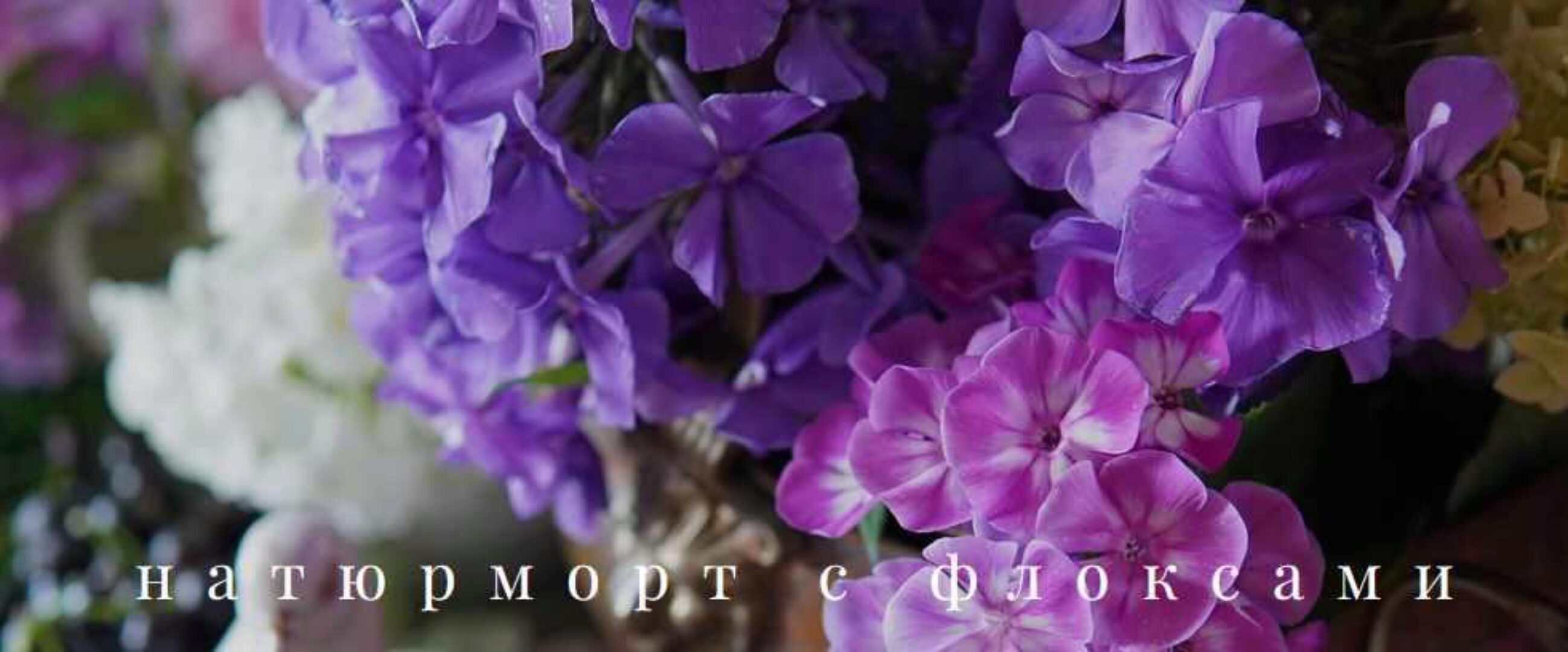 Натюрморт с флоксами (Анастасия Вострецова)