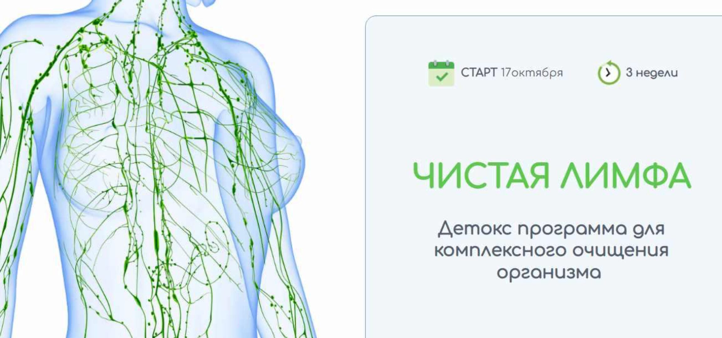 Чистая лимфа. Пакет Базовый (Елена Макагонова)