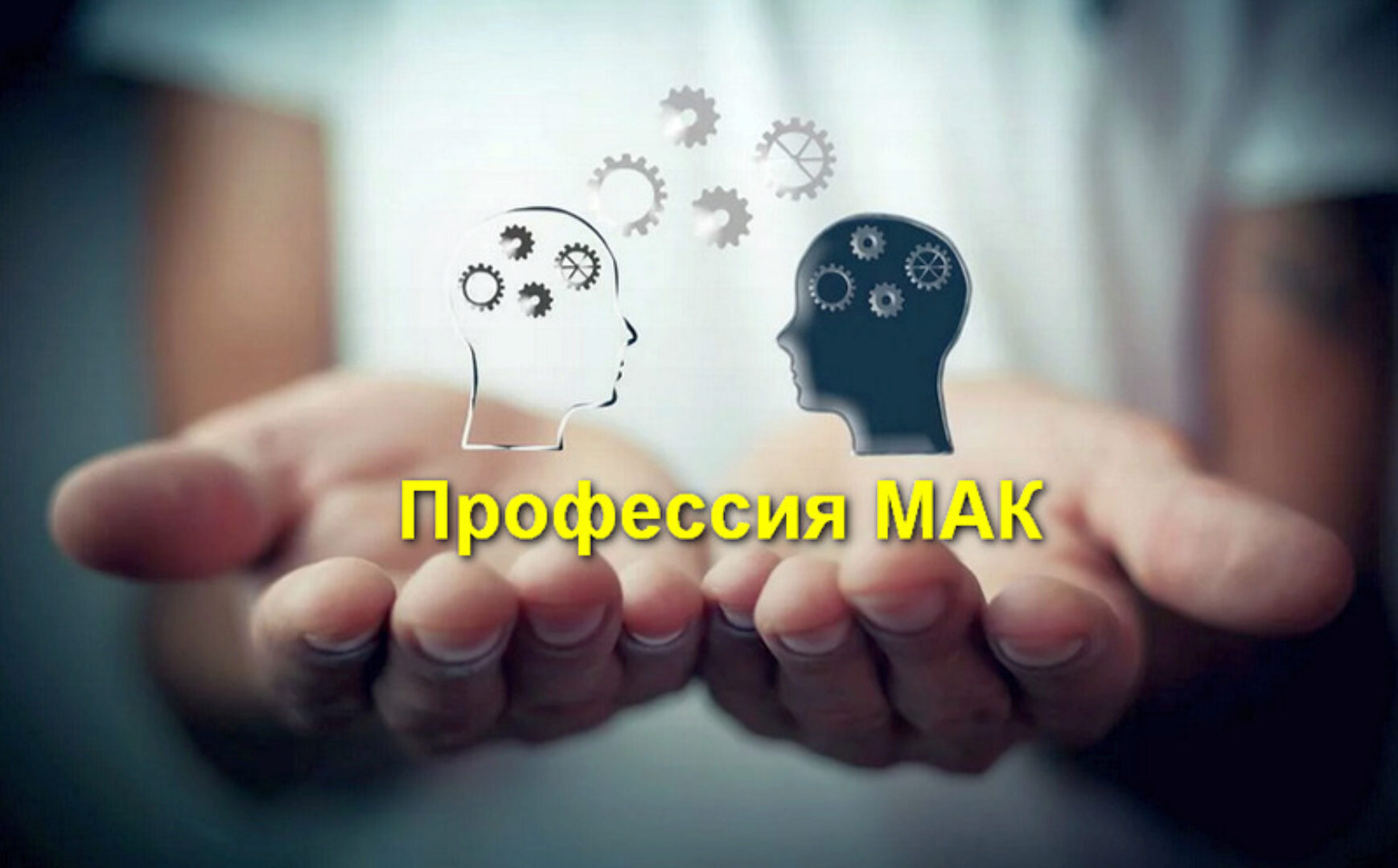 Профессия МАК. Тариф Профессия (Софья Ванеева, Татьяна Гаврилова)