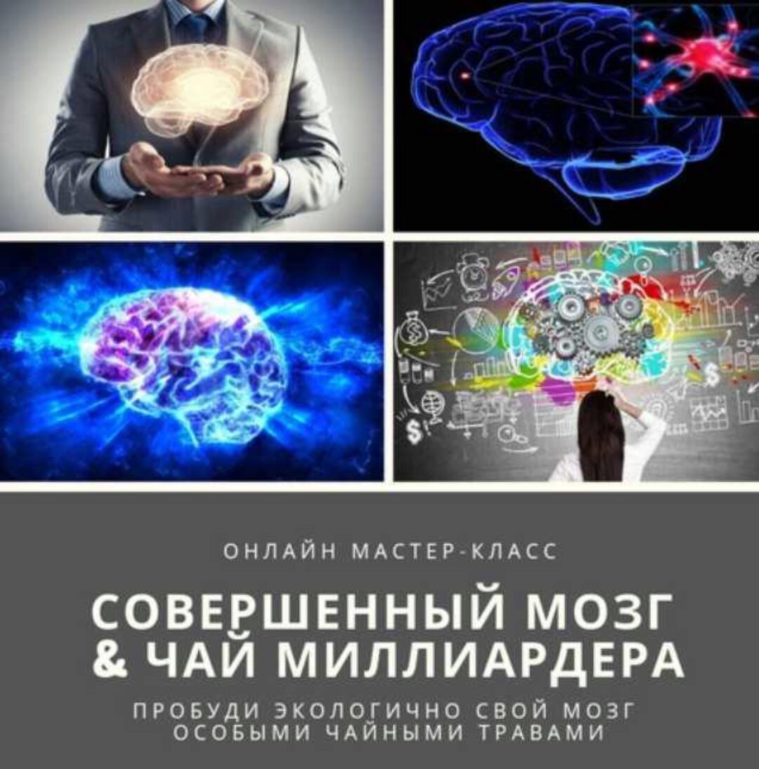 [Мудрость трав Академия фитонутрициологии] Совершенный мозг & Чай миллиардера (Юрий Курский)