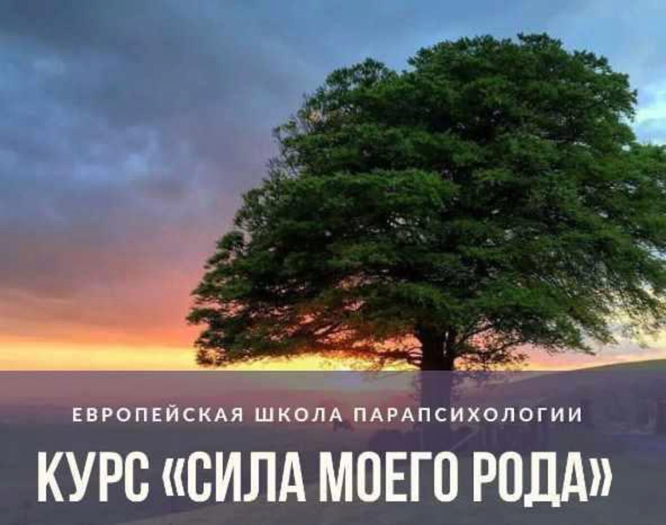 Сила моего Рода (Иван Владимирский)