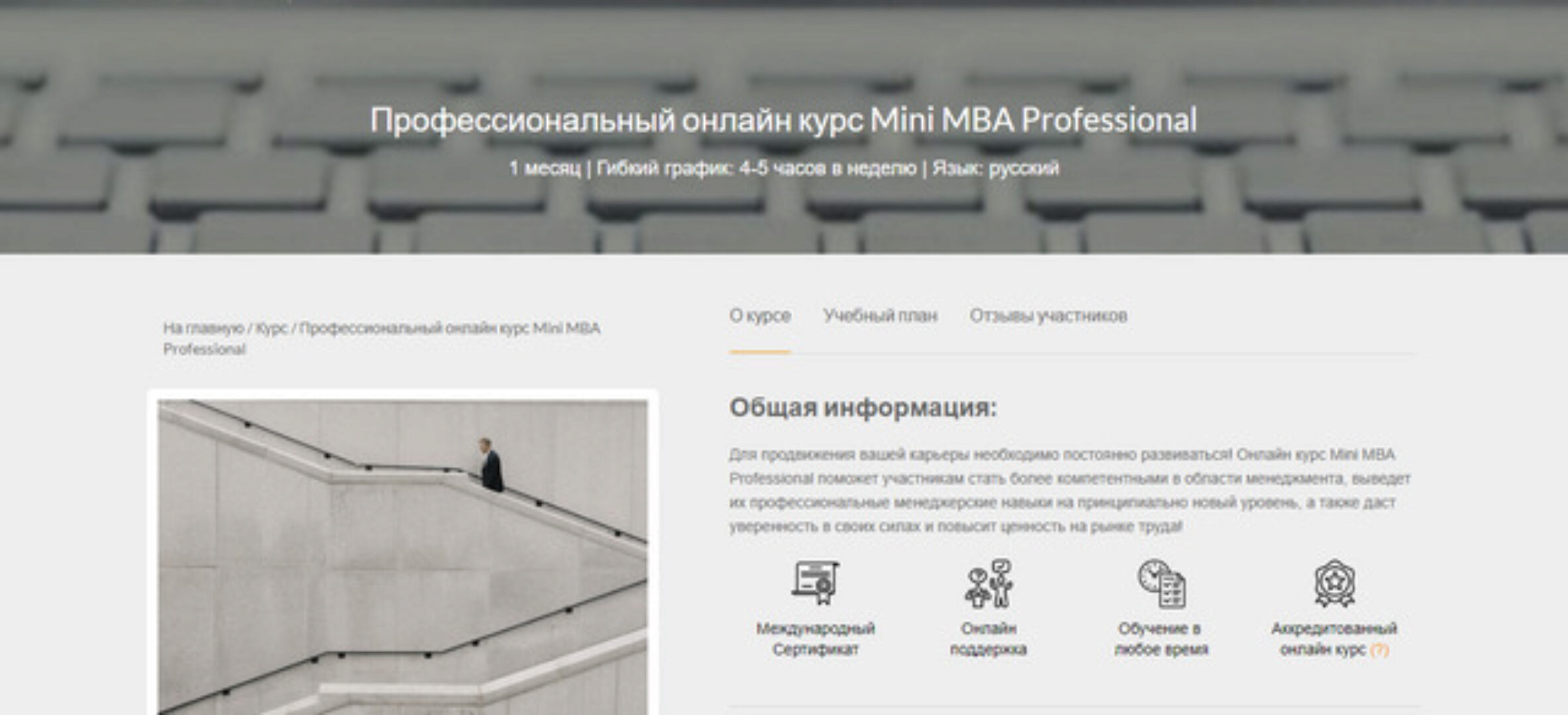 [M&MU Business School (UK)] Профессиональный онлайн курс Mini MBA Professional (2020)