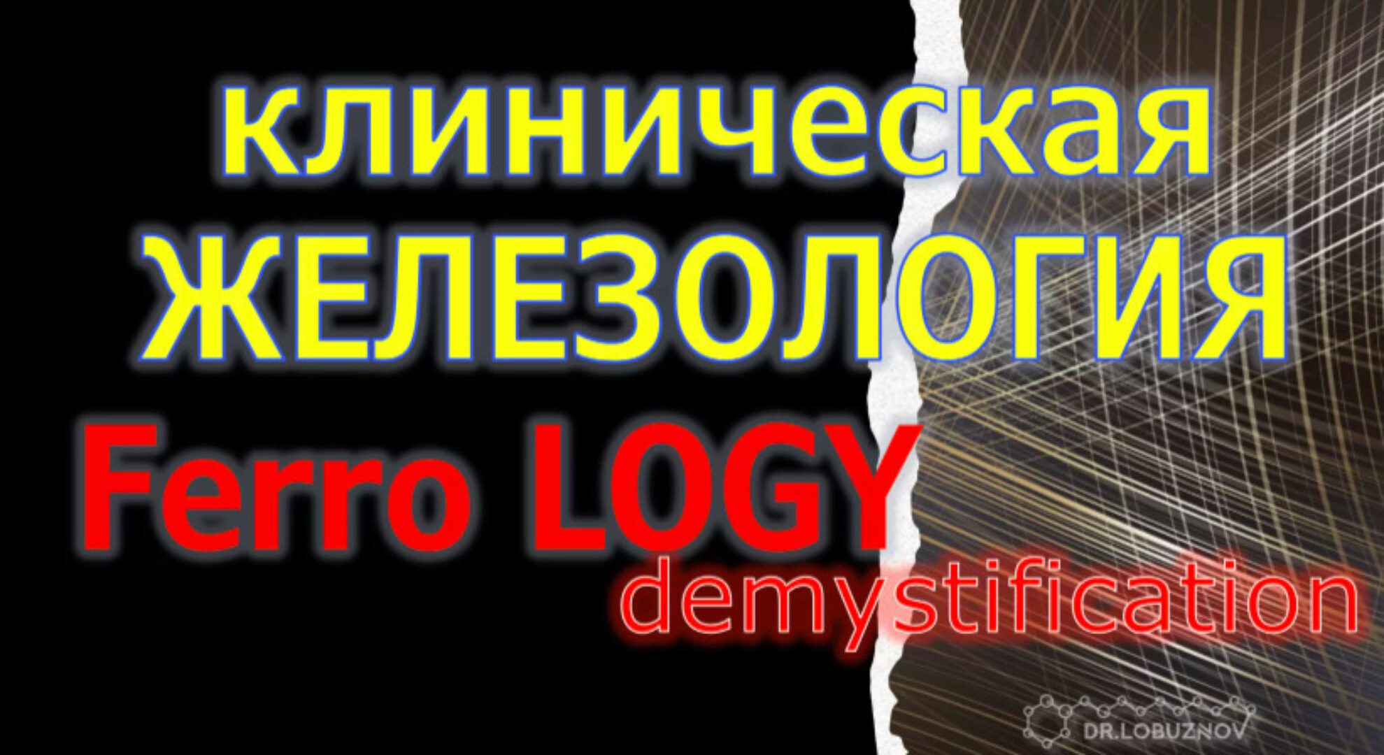 Клиническая железология (Андрей Лобузнов)