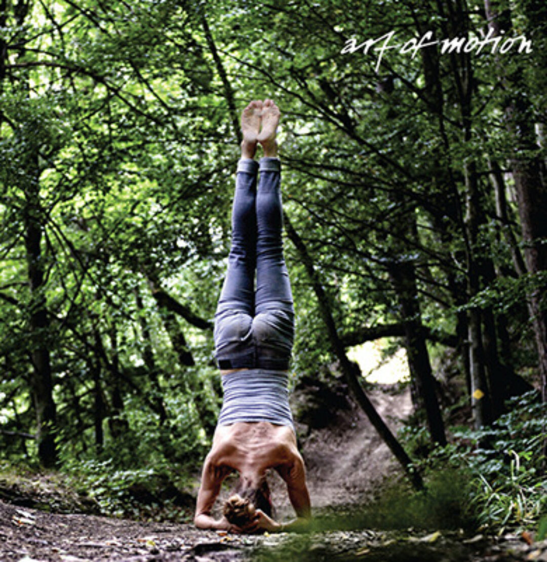 [Artofmotion] Основы слингов в движении  (Лидия Лаврукович, Анна Селиверстова)