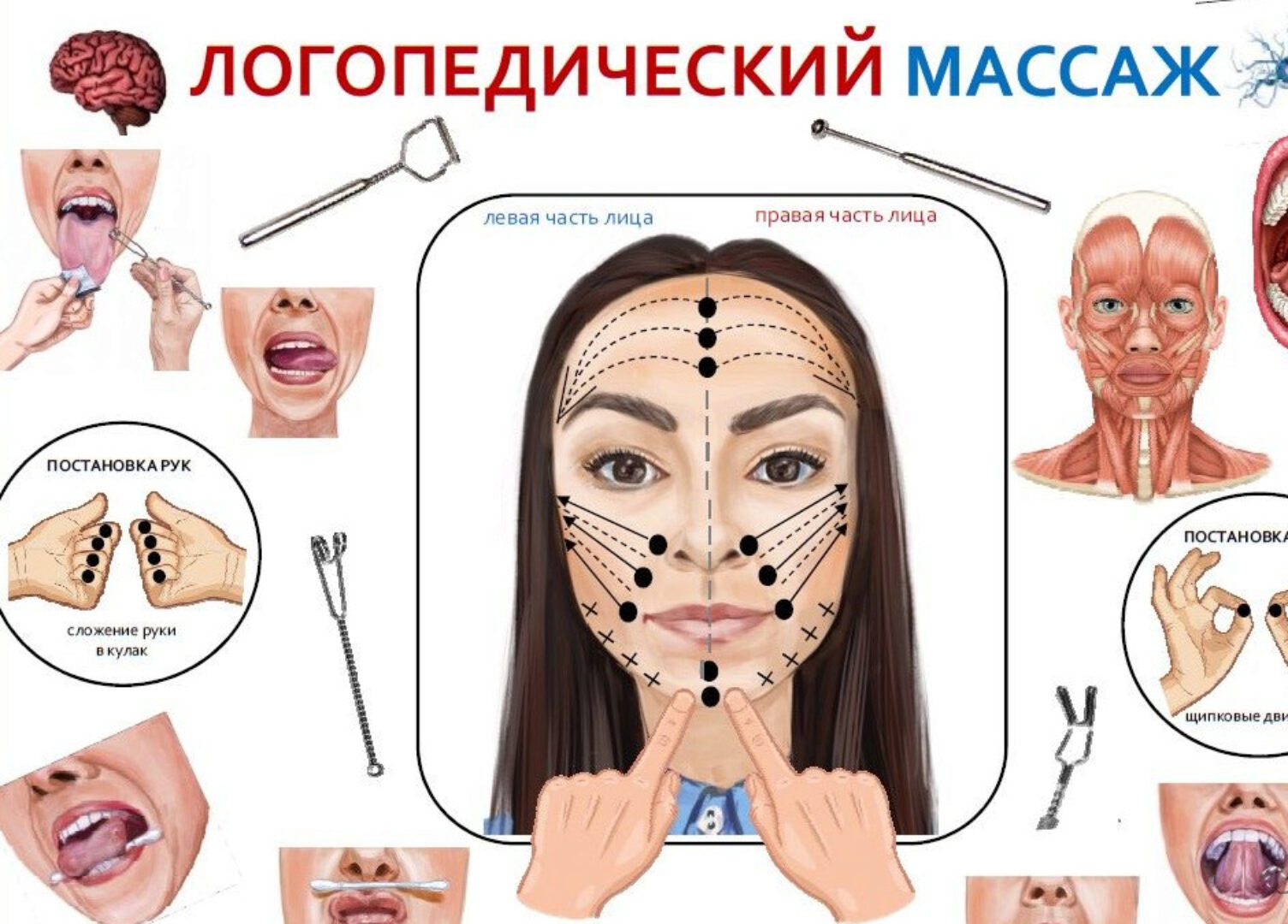 Логопедический массаж (Галина Лашковская)