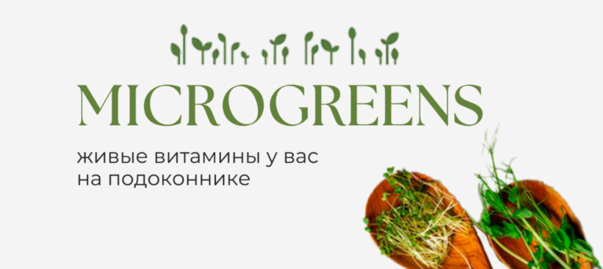 Microgreens. Живые витамины у вас на подоконнике. Учебное пособие по выращиванию (Татьяна Иримчук)