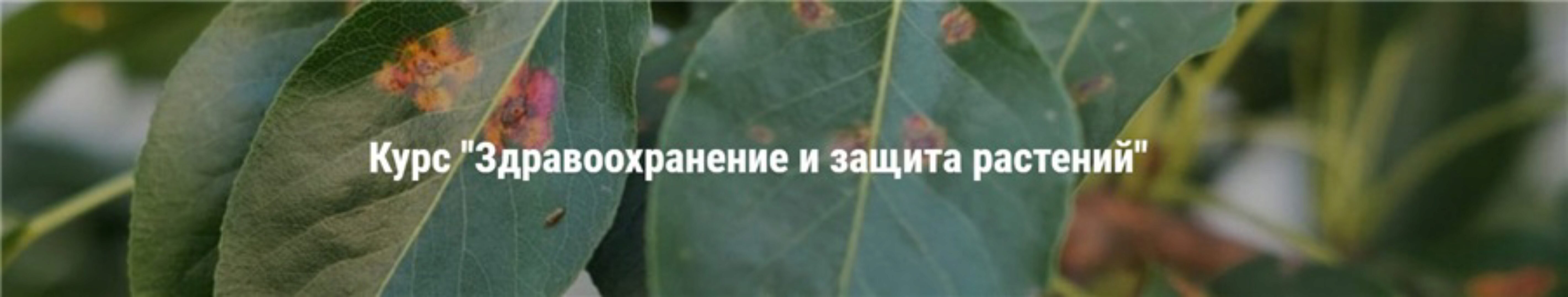 [Умный Садовник] Здравоохранение и защита растений. Единый тариф (Дмитрий Звонка)