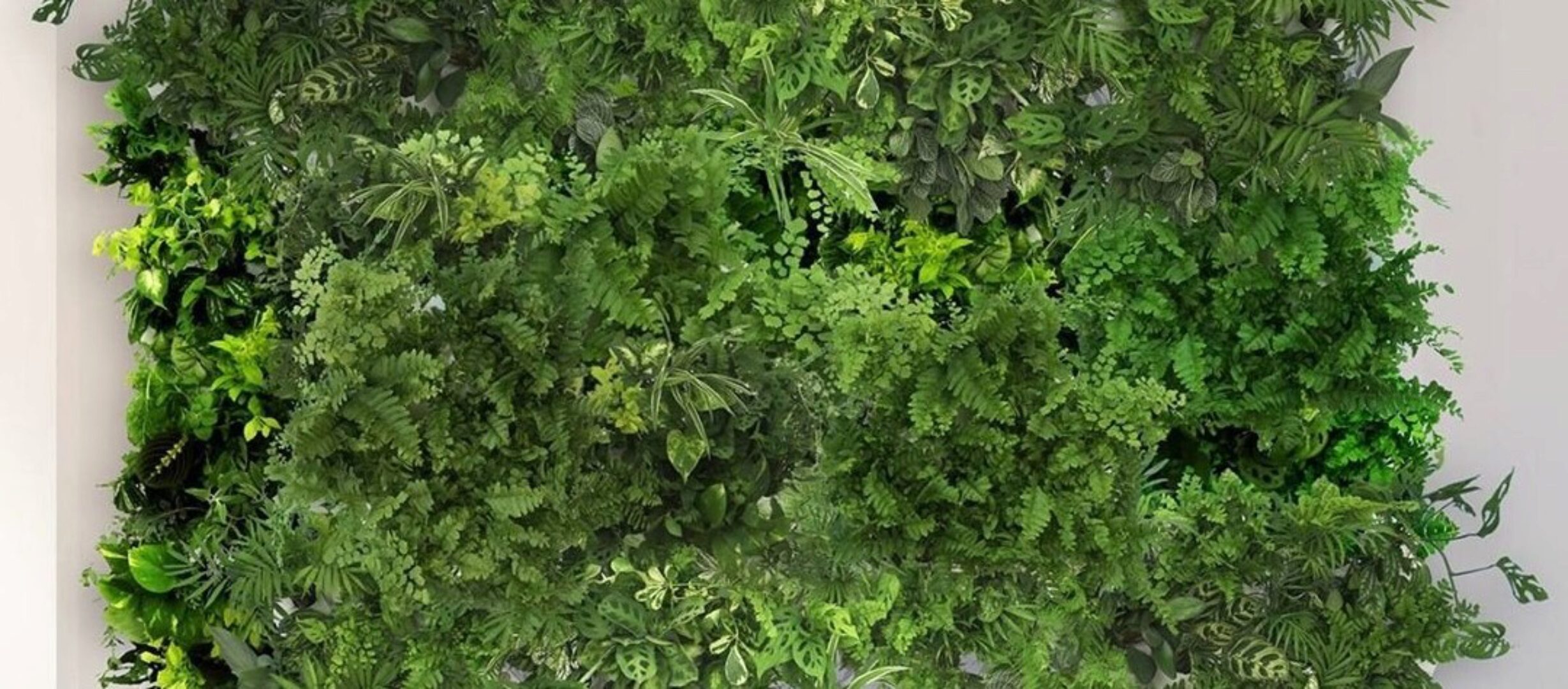 Вертикальное озеленение (Натали Серова)