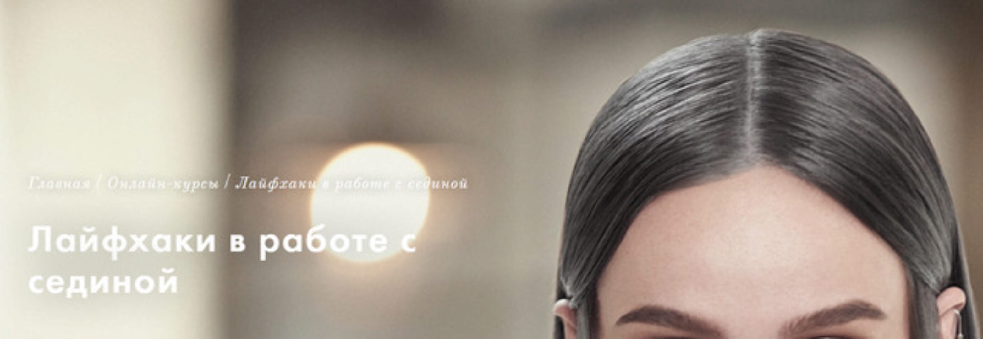 Лайфхаки в работе с сединой (Ольга Дубешко)