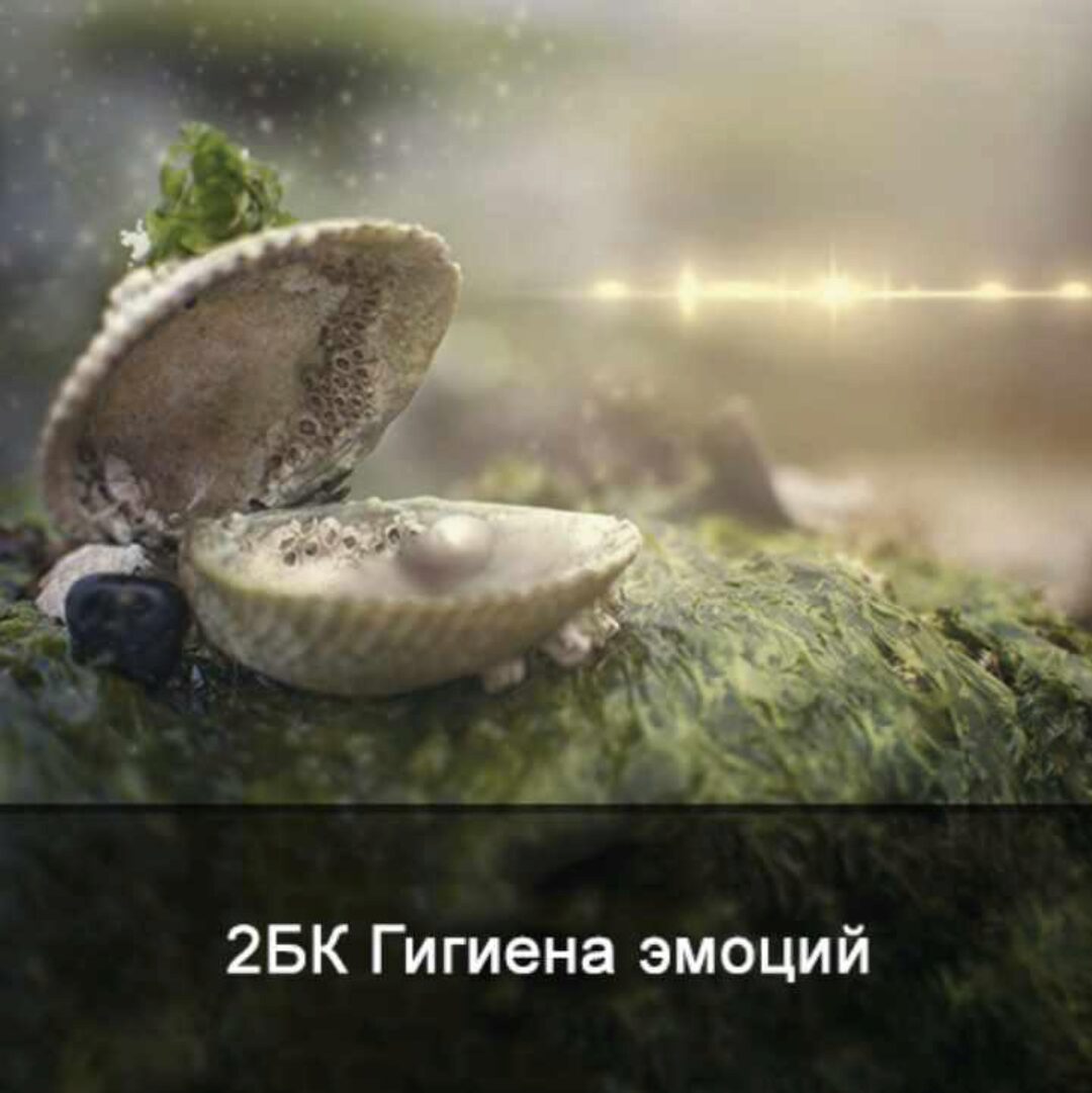 2БК Гигиена эмоций. Техника эмоциональной медитации (Ксения Меньшикова)