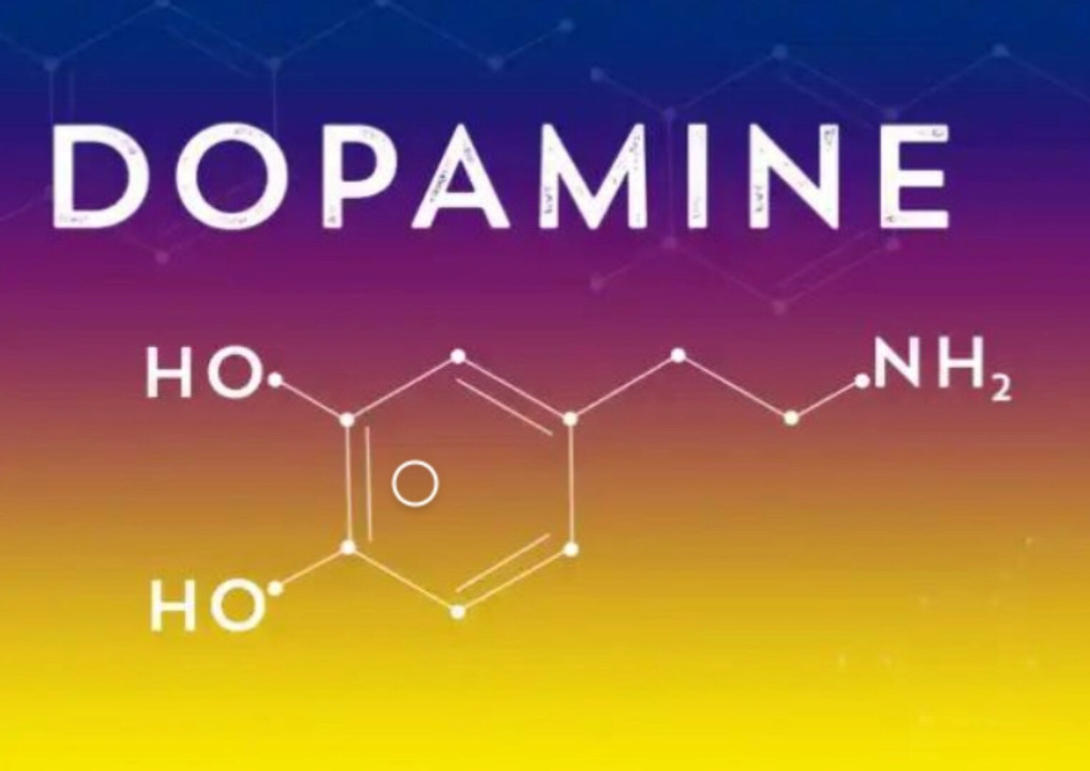 [Первая школа биохакинга] Дофаминомания, август 2023 (Ирина Баранова, Татьяна Смольянинова)