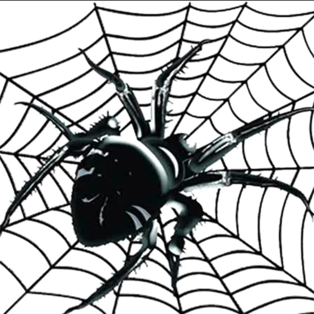 [Атлантида] Магазин Товары в дорогу. Видеозаклинание Майянские пауки