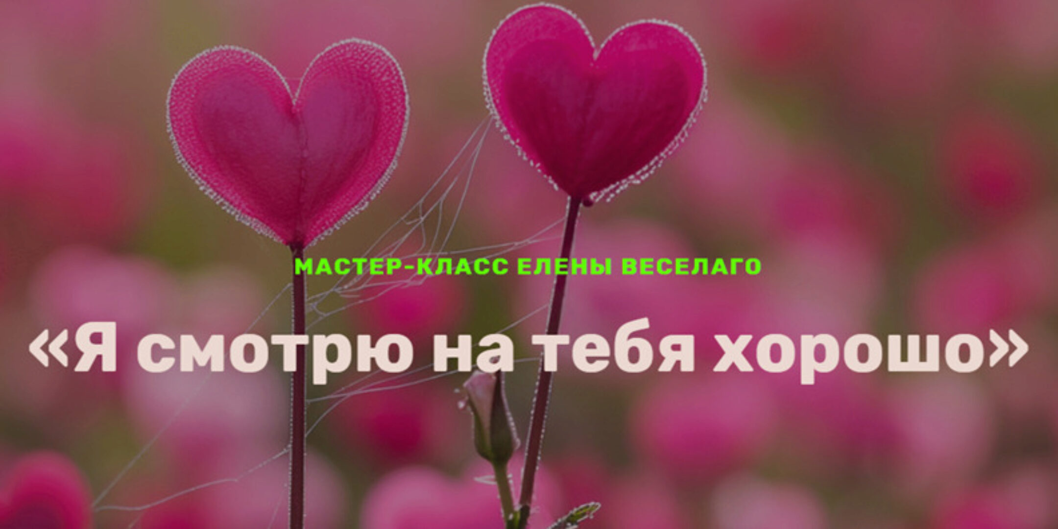 Я смотрю на тебя хорошо (Елена Веселаго)