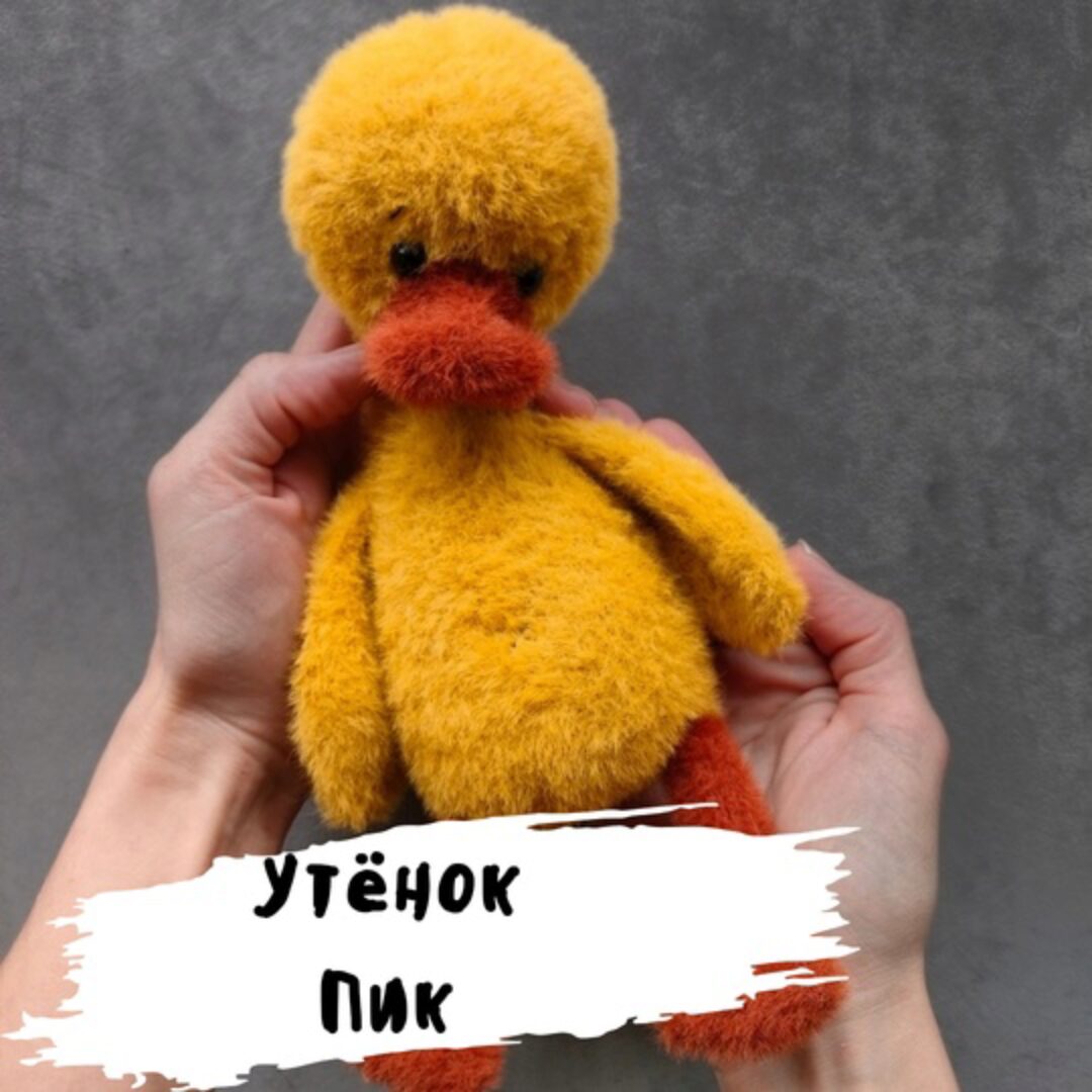 Утёнок Пик (Дарья Дубовкина)